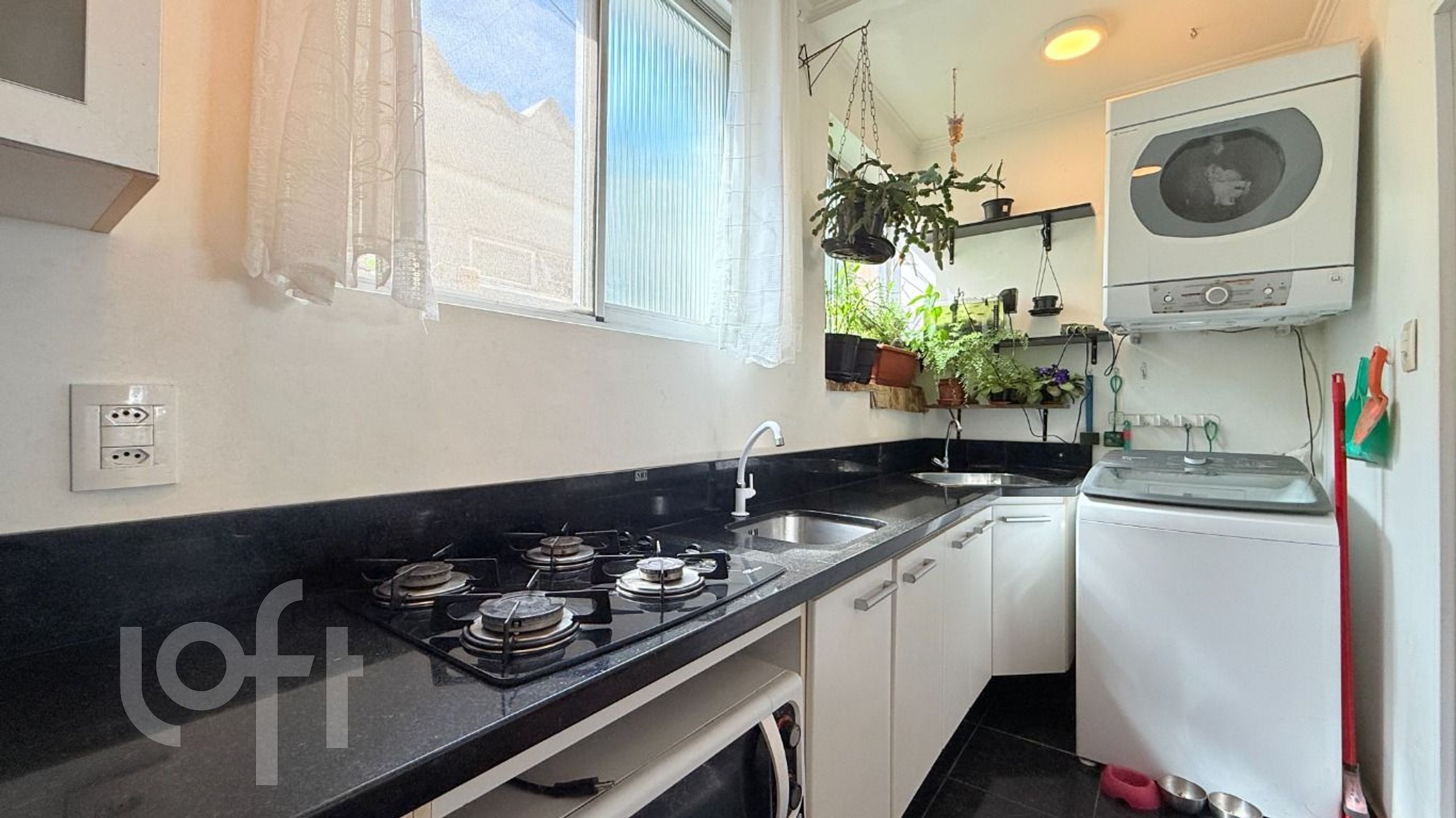 Imagem da propriedade 5