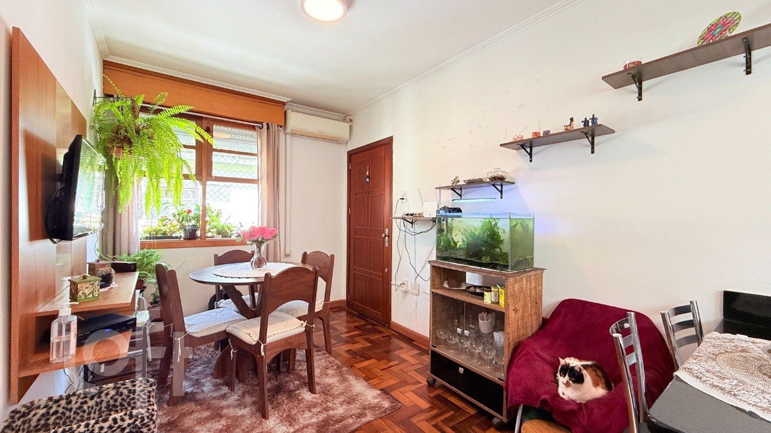 Imagem da propriedade 2