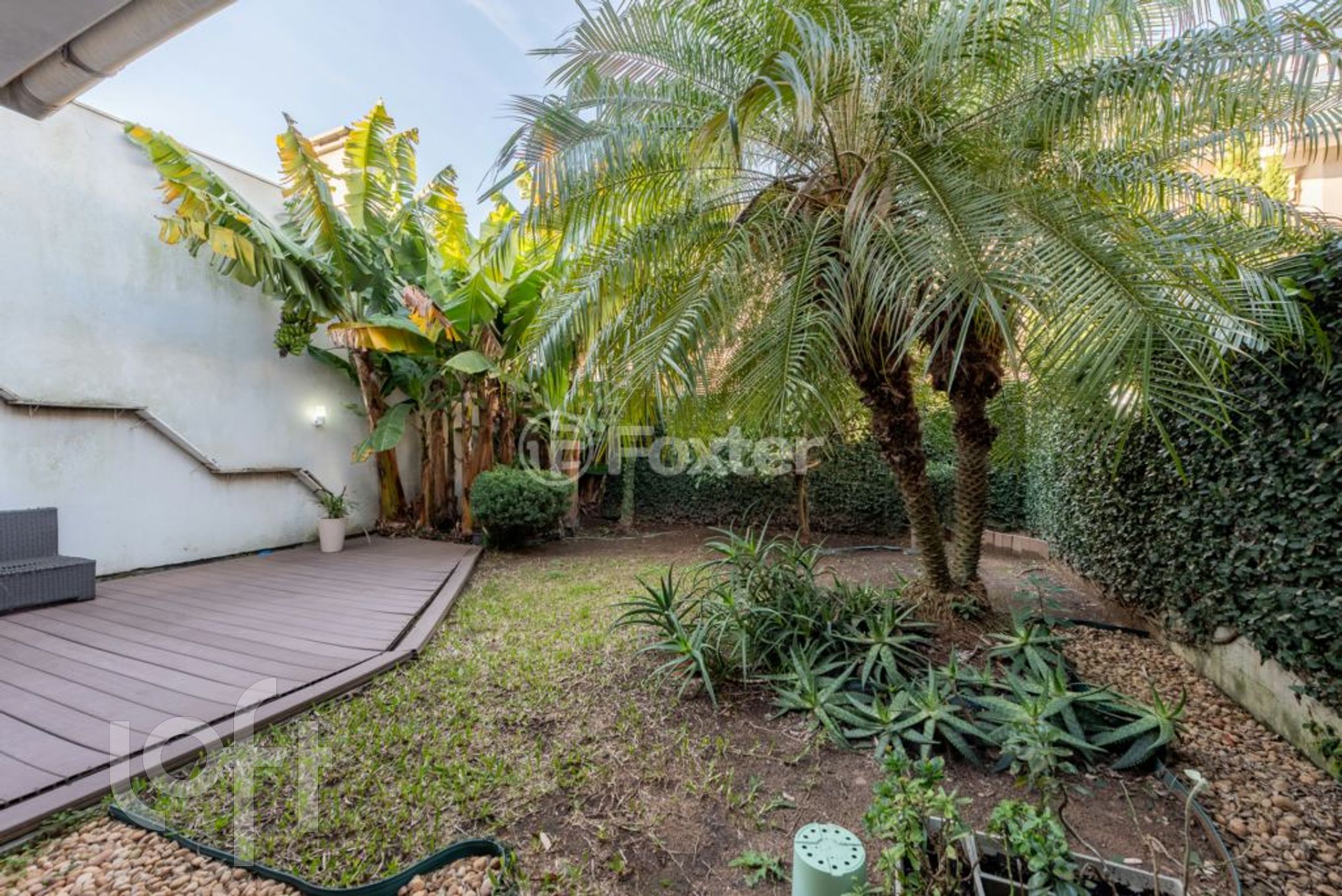 Imagem da propriedade 6