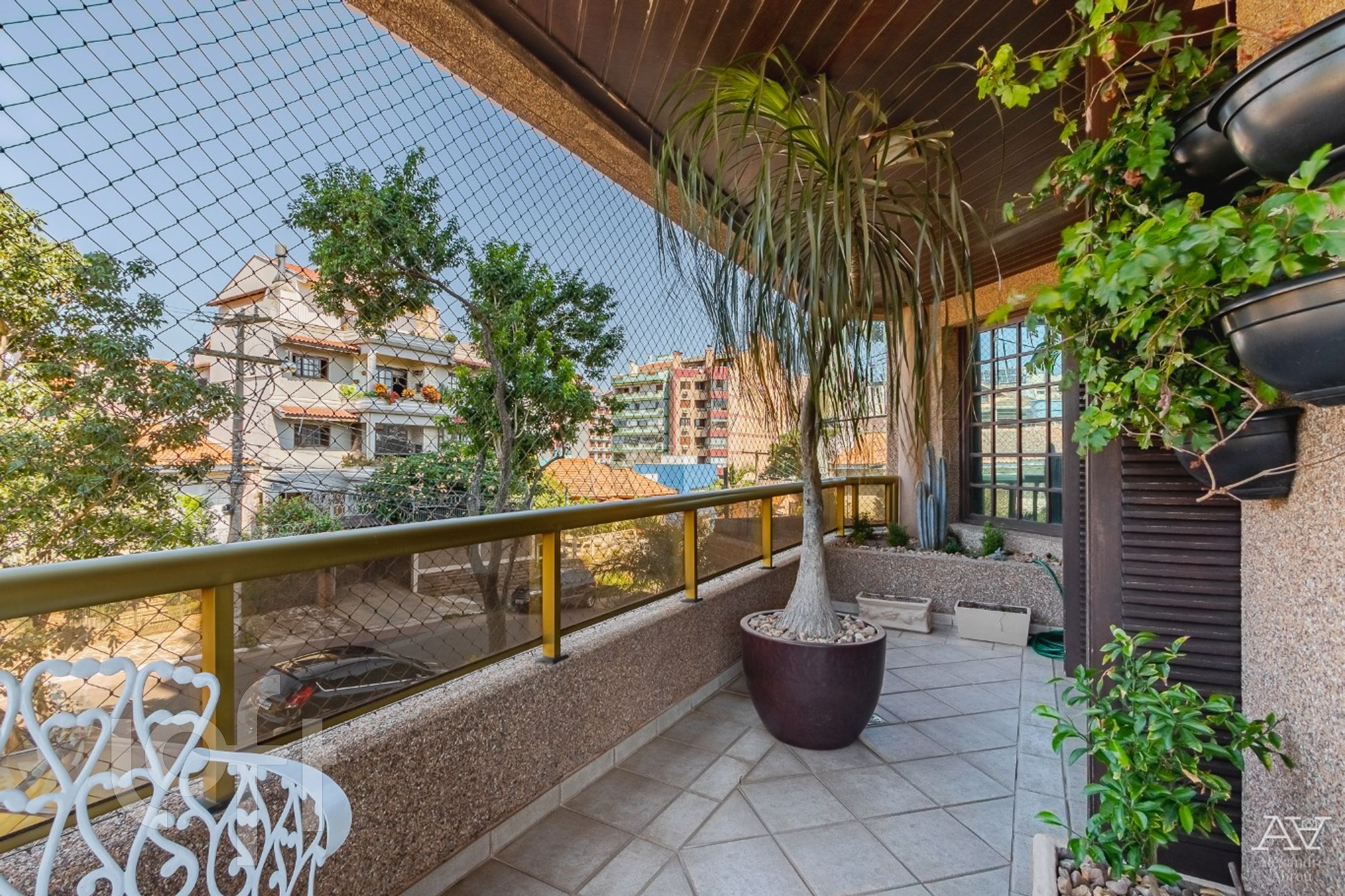 Imagem da propriedade 18