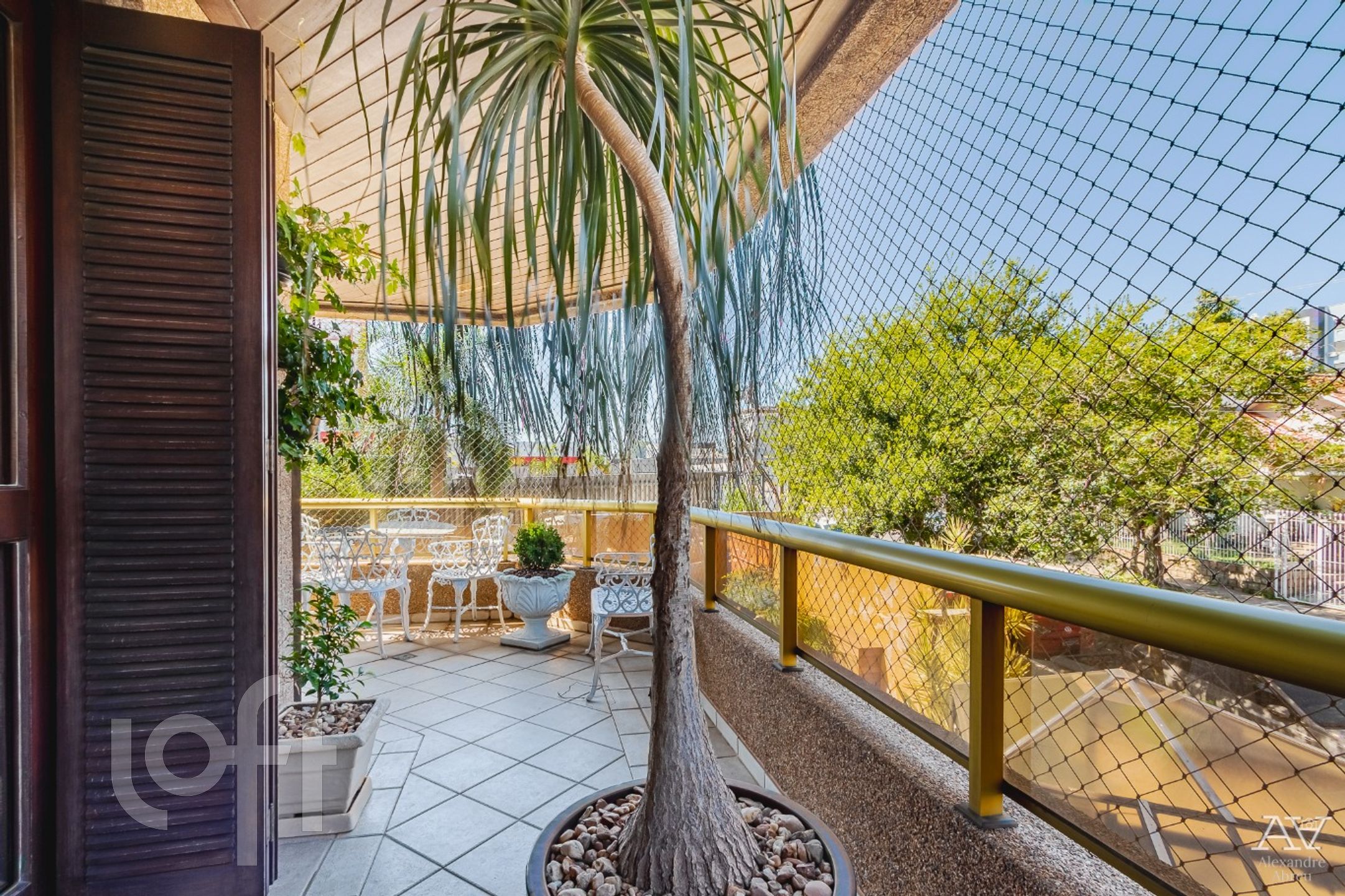 Imagem da propriedade 17