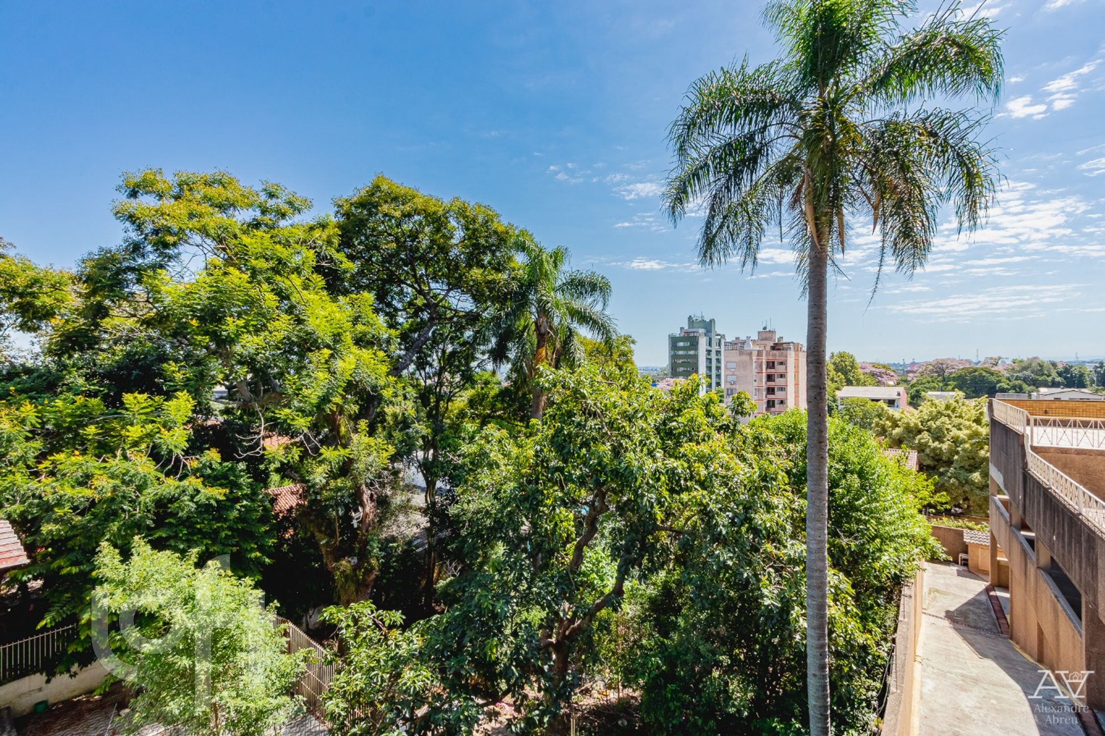 Imagem da propriedade 42