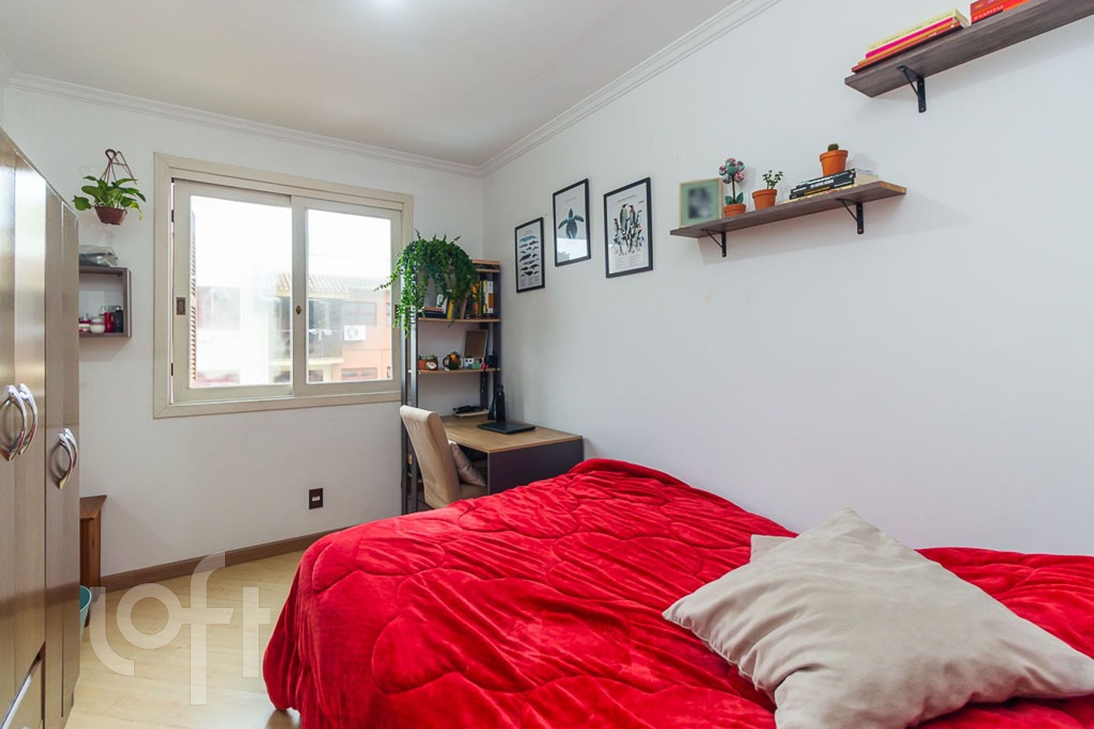 Imagem da propriedade 7