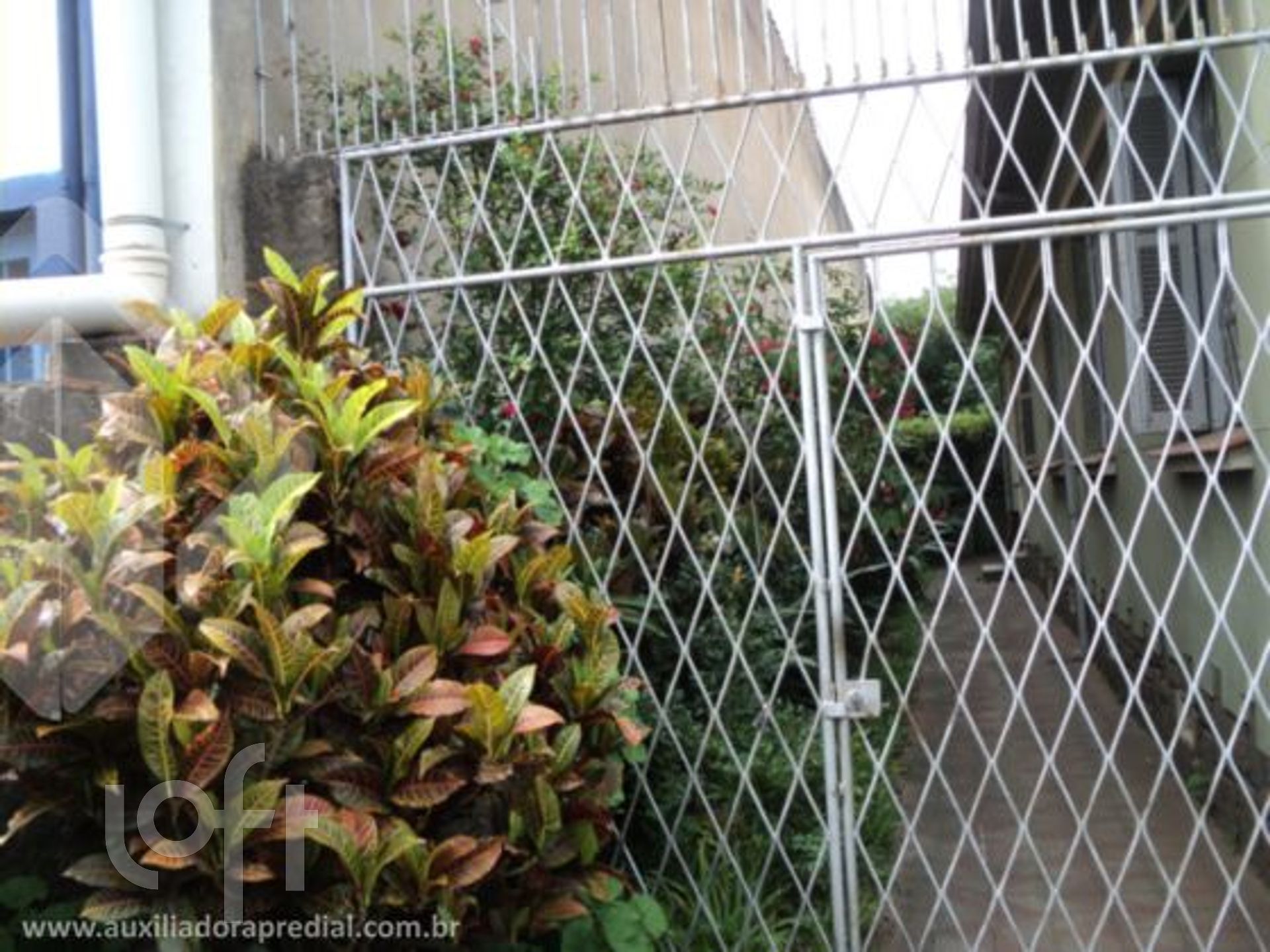 Imagem da propriedade 9