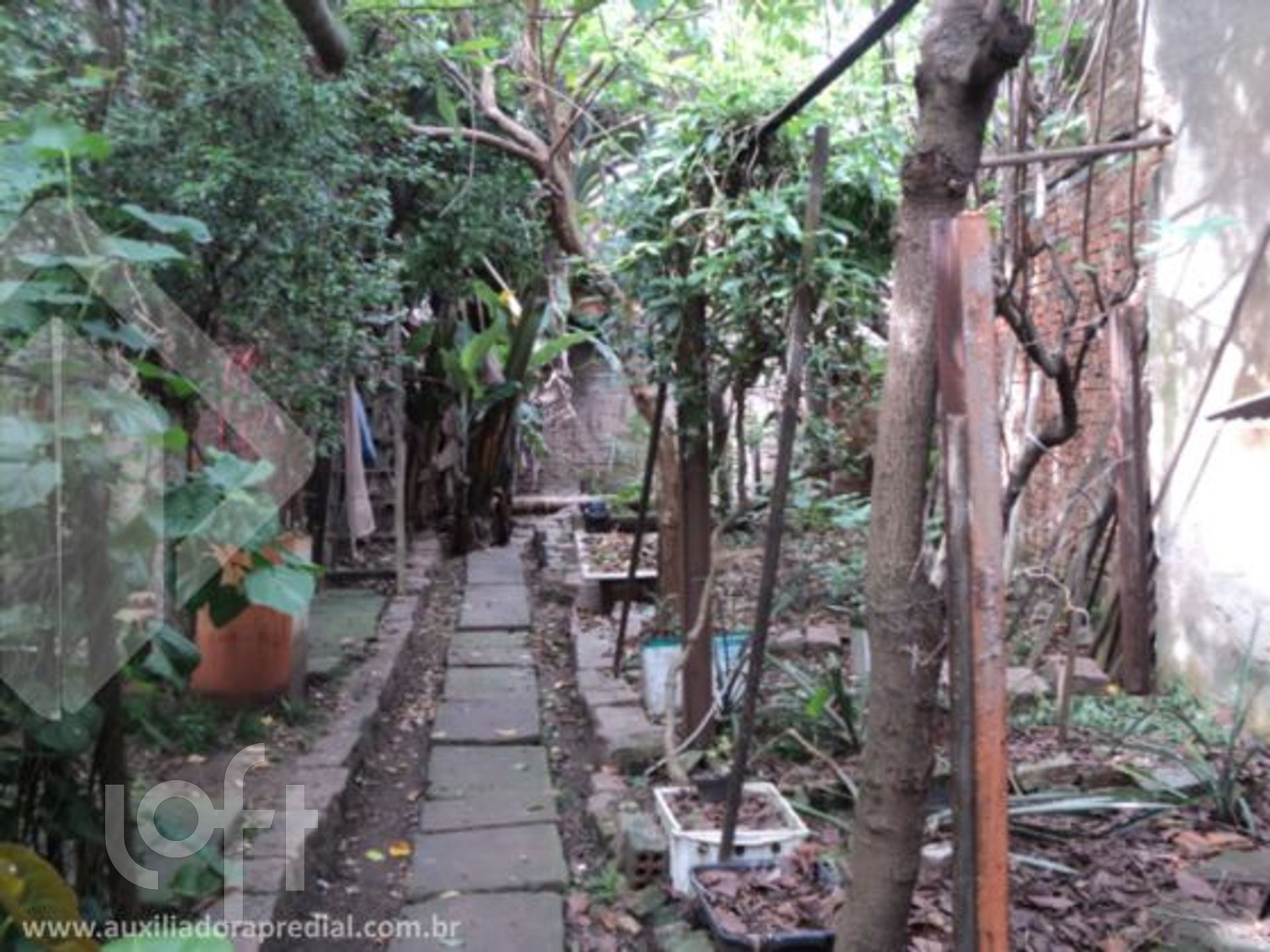 Imagem da propriedade 40