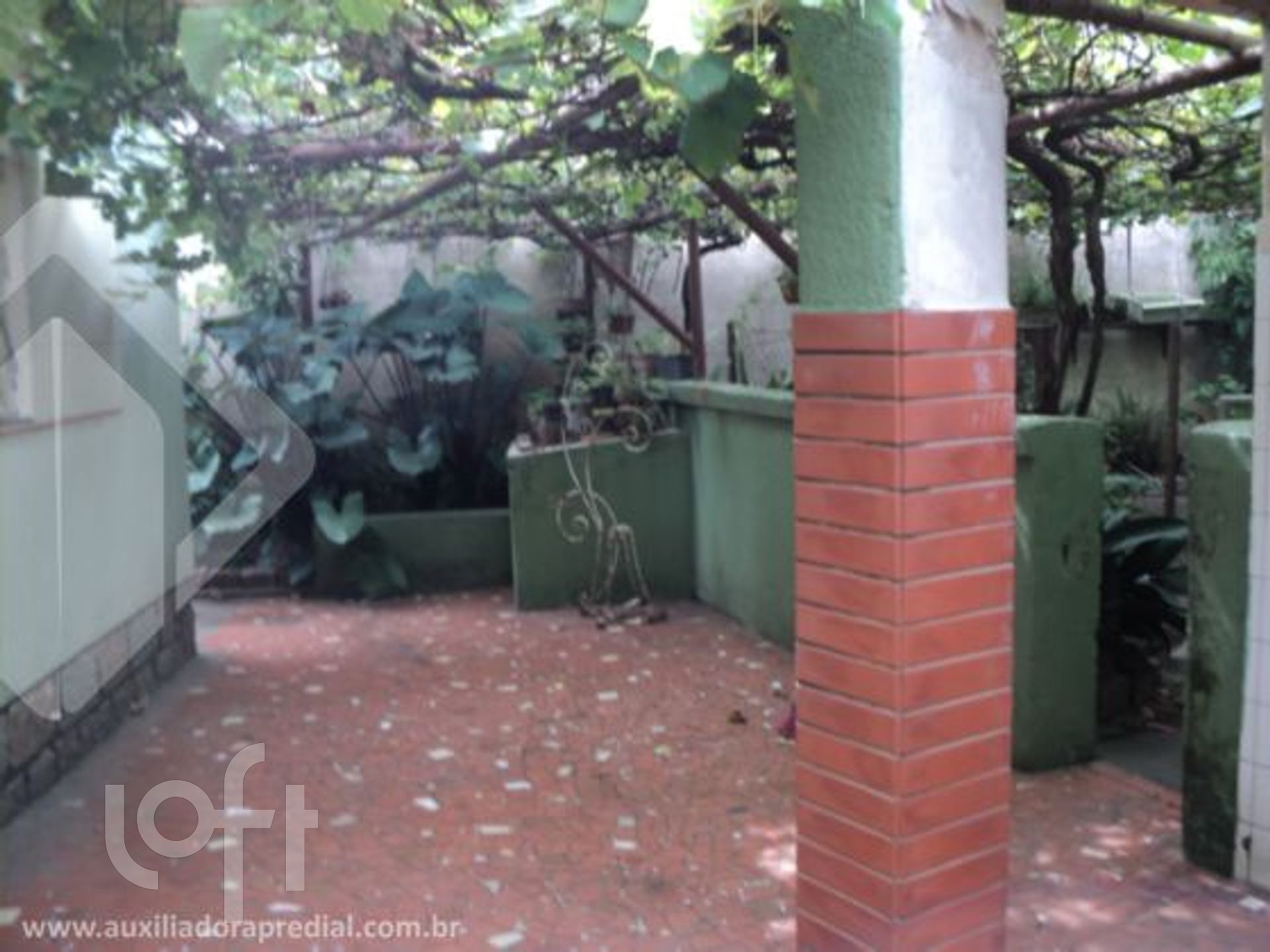 Imagem da propriedade 37