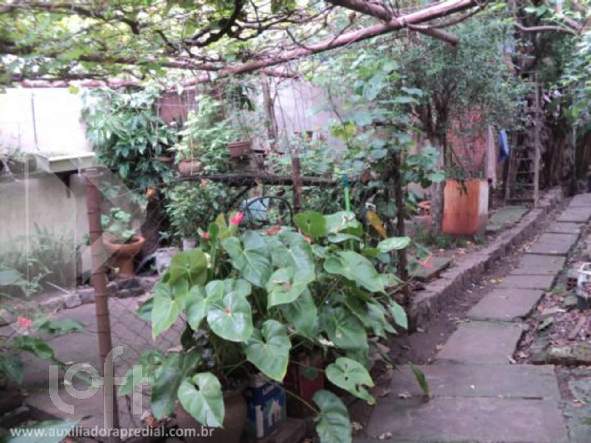 Imagem da propriedade 39