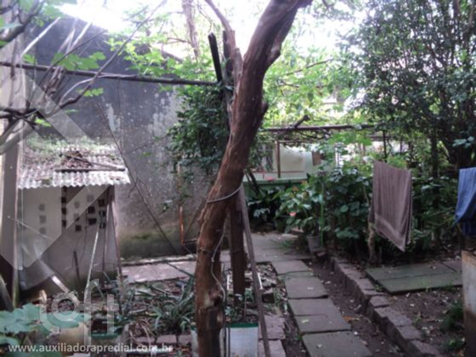 Imagem da propriedade 41