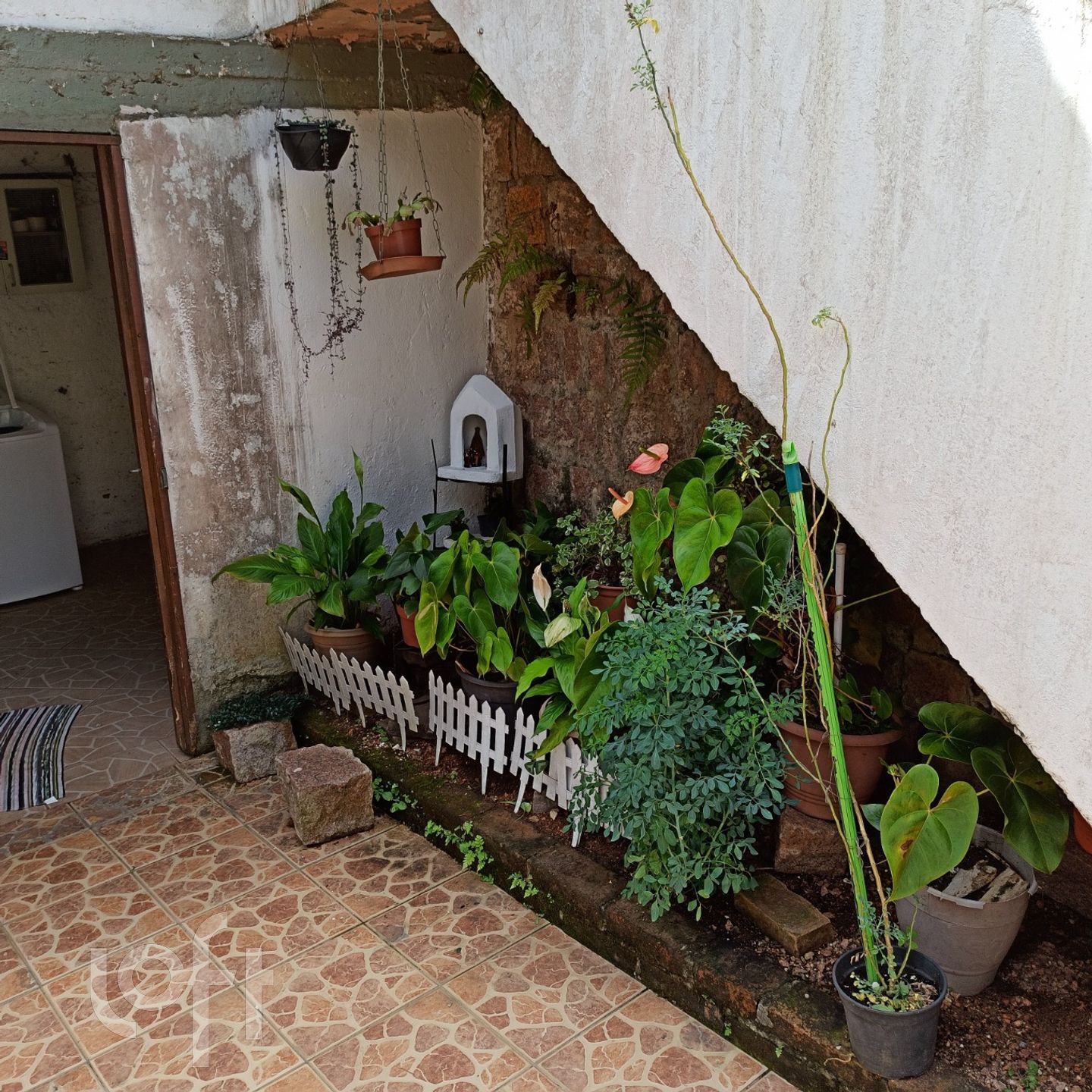 Imagem da propriedade 5