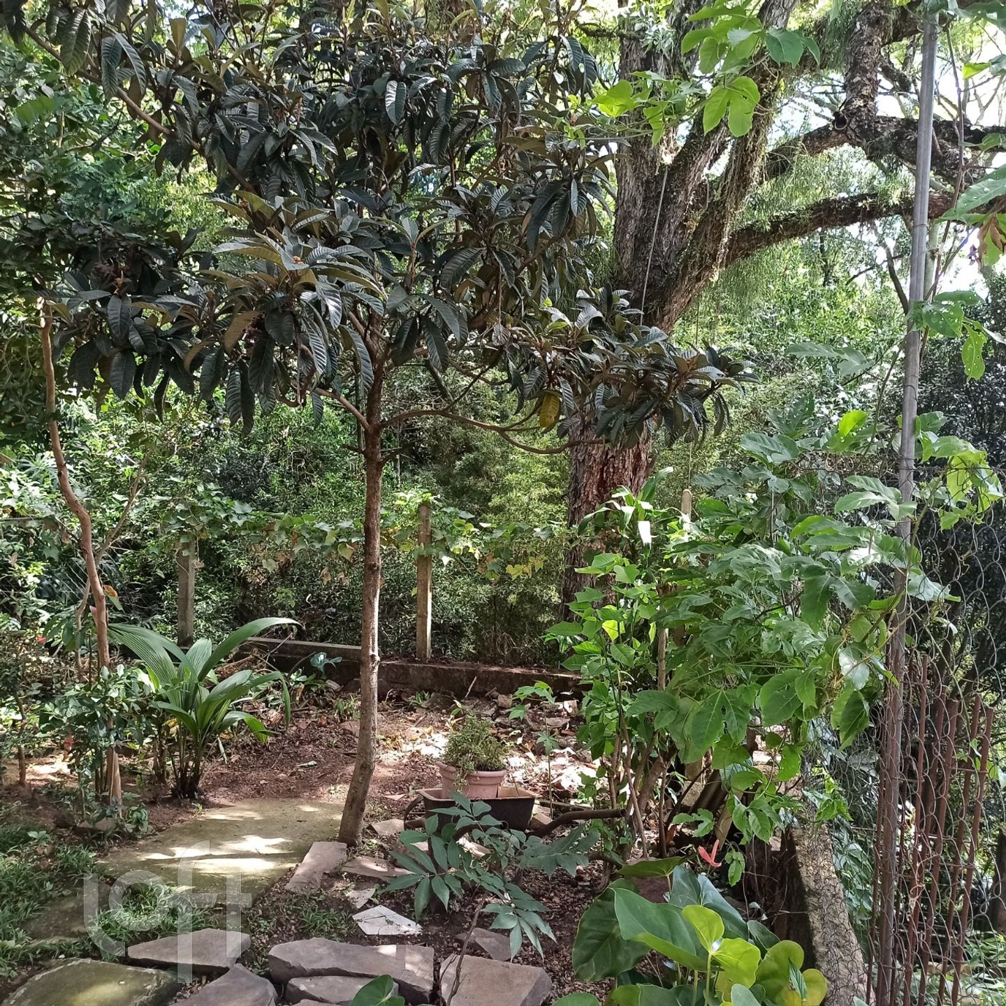 Imagem da propriedade 9