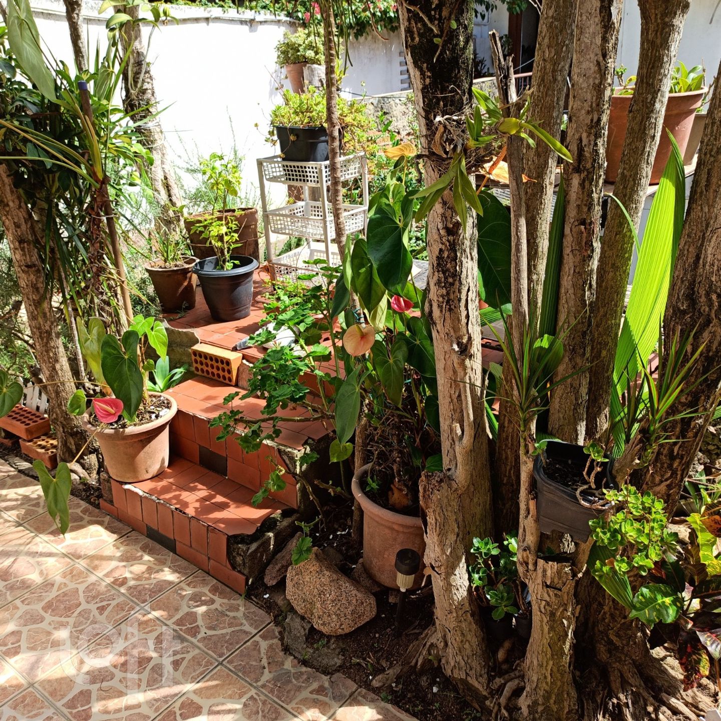 Imagem da propriedade 3