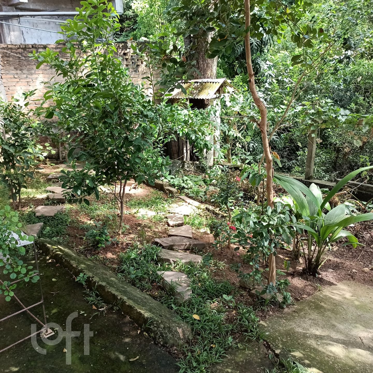 Imagem da propriedade 10