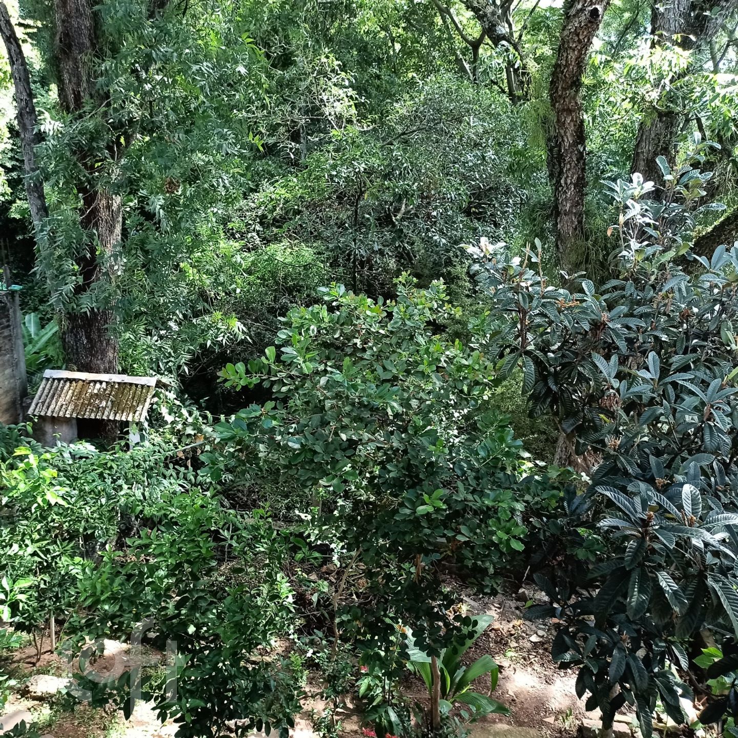 Imagem da propriedade 6