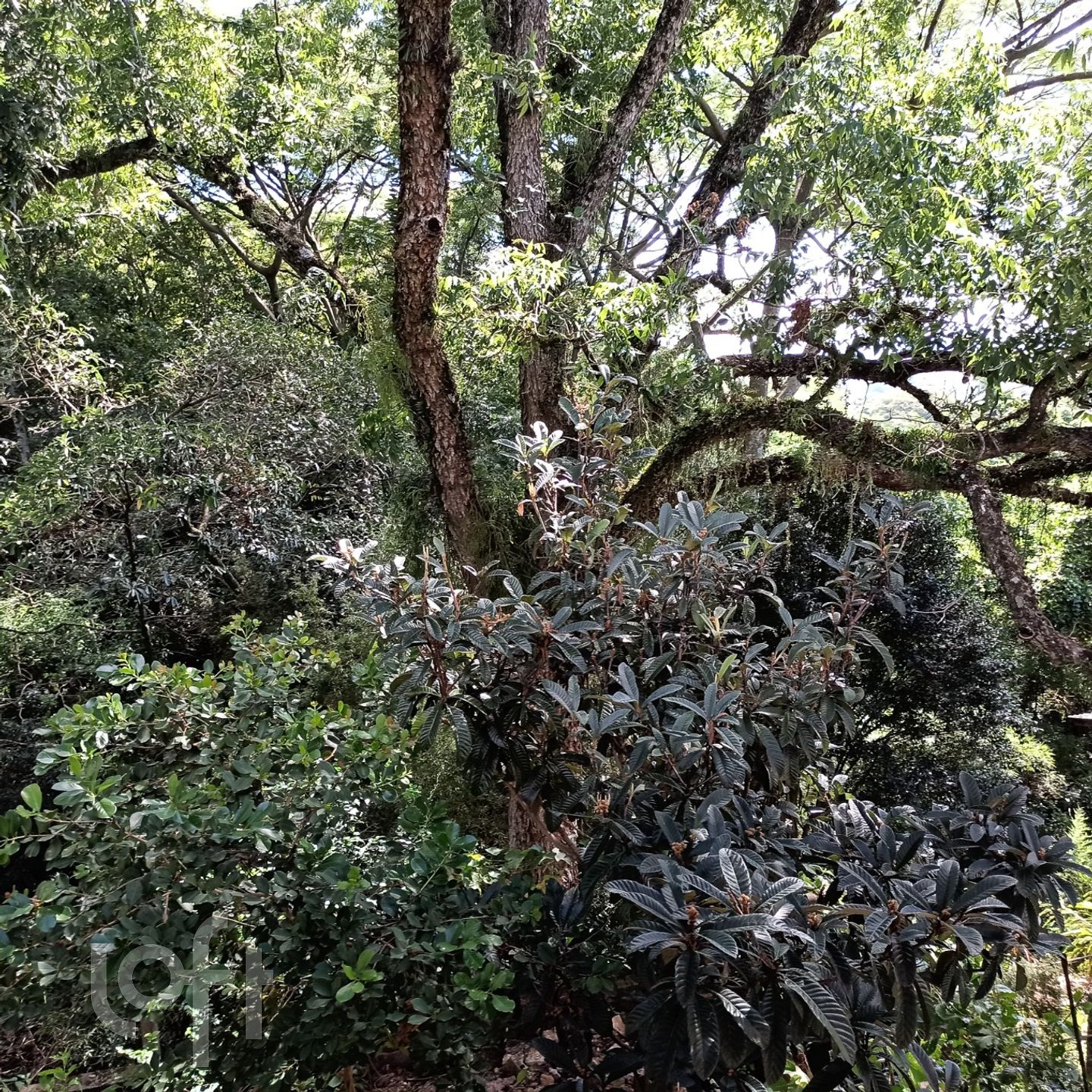 Imagem da propriedade 7