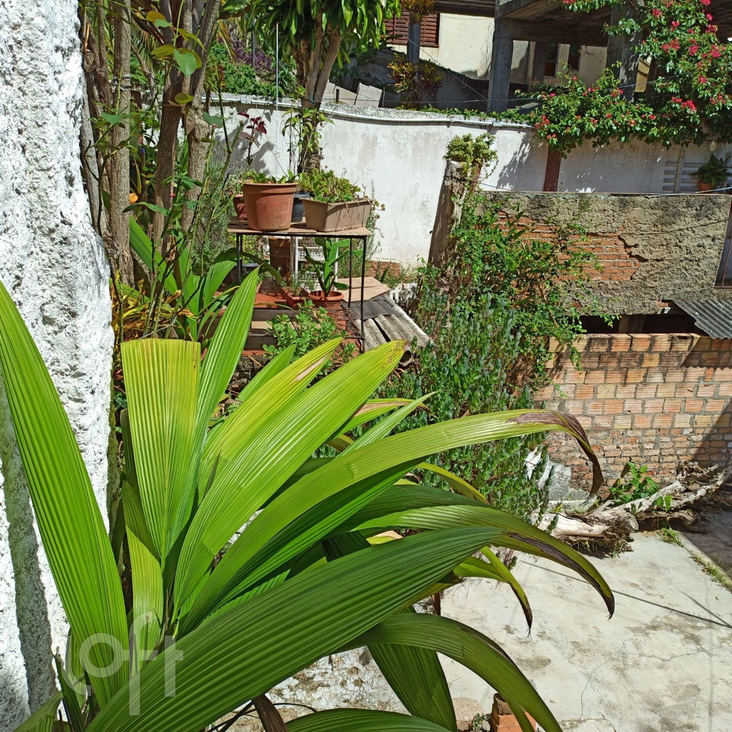 Imagem da propriedade 4