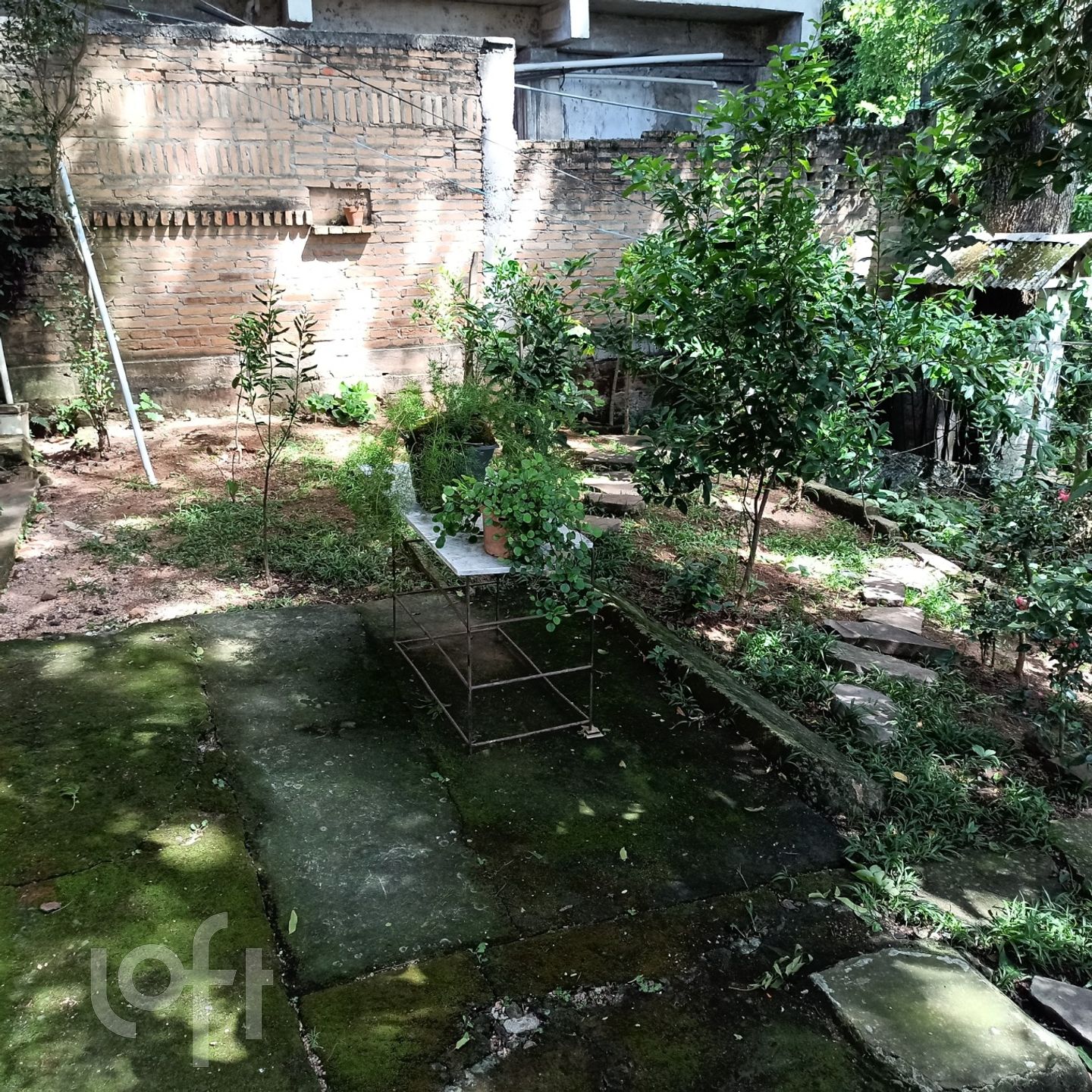 Imagem da propriedade 11