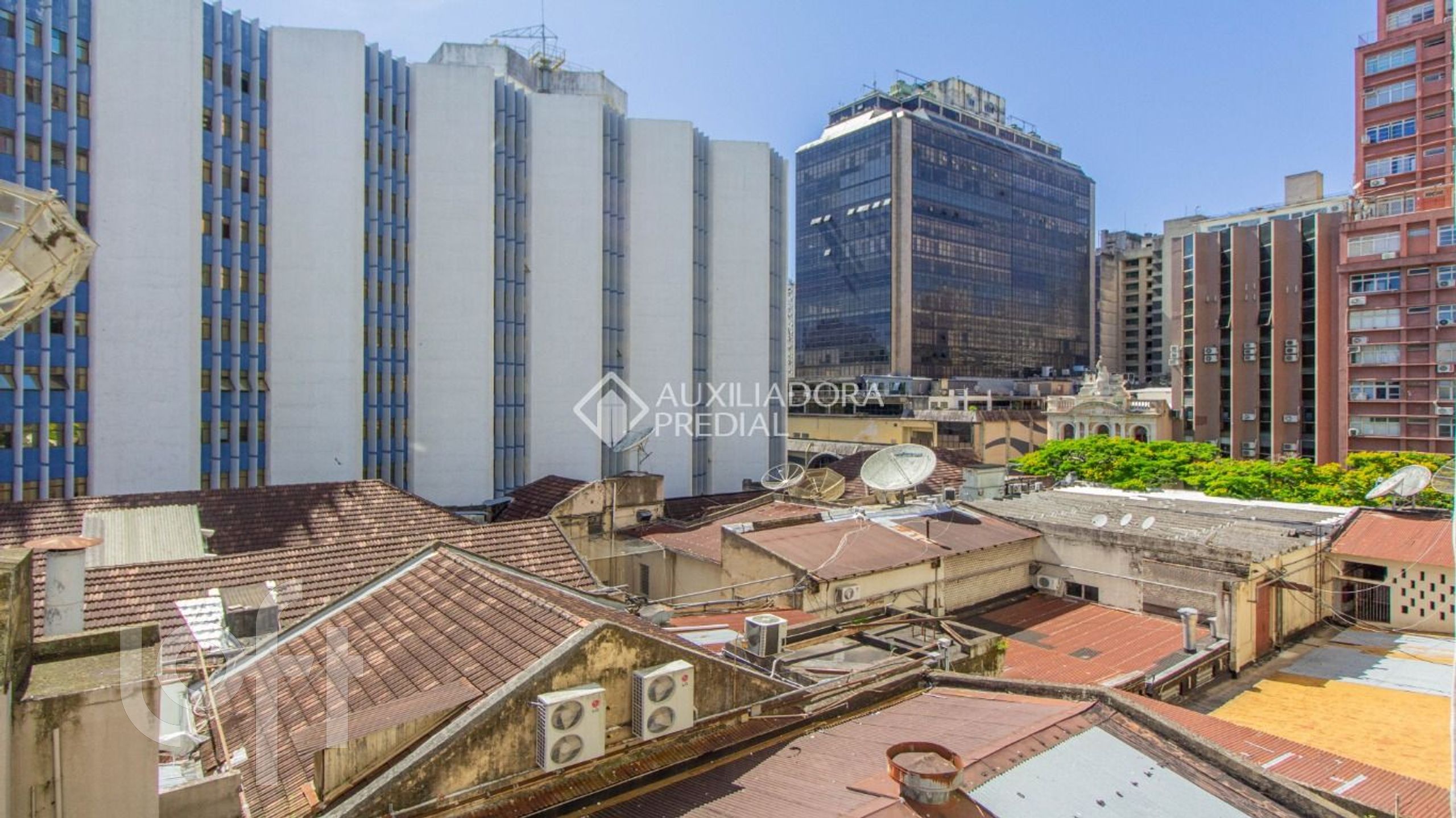 Imagem da propriedade 3