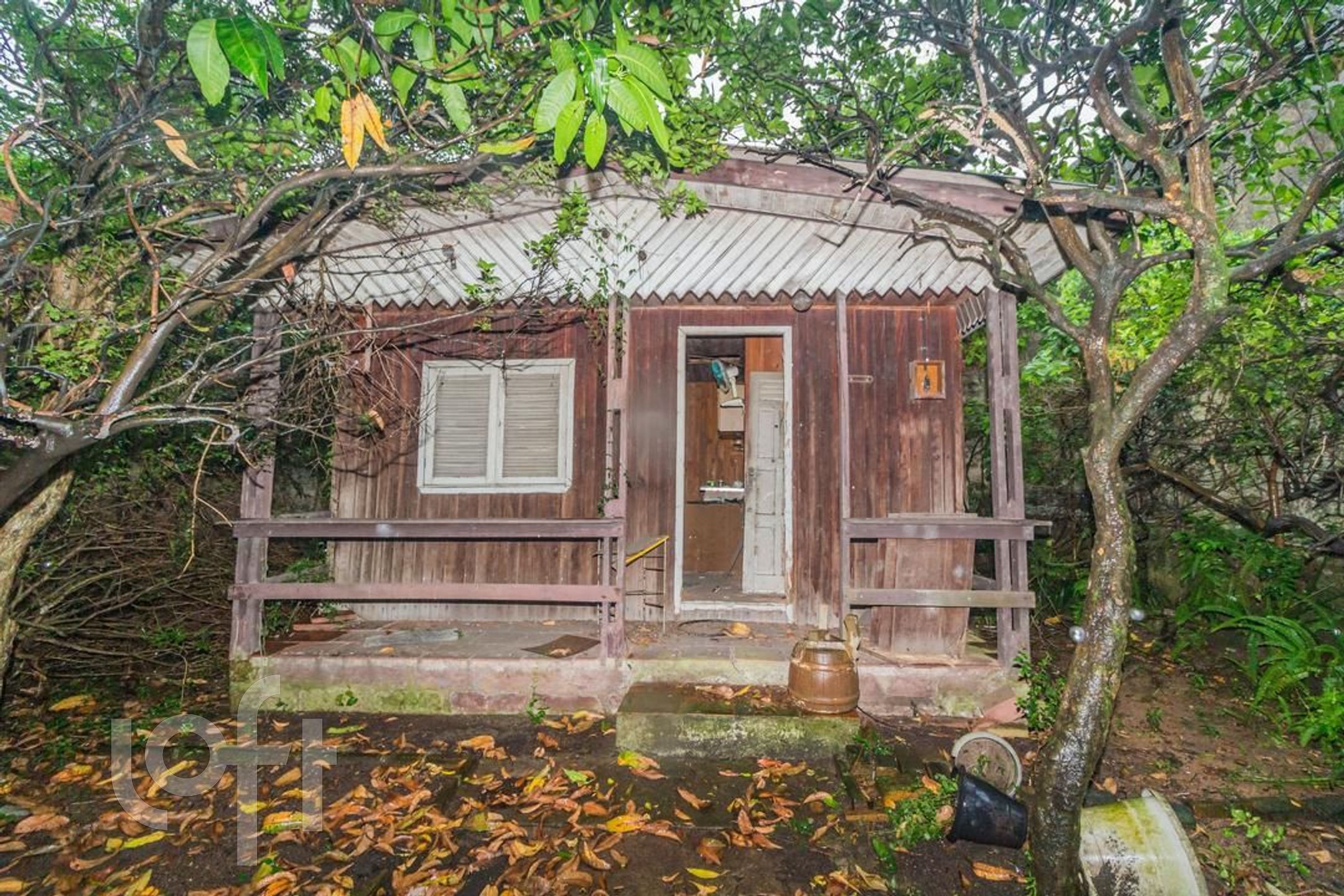 Imagem da propriedade 28