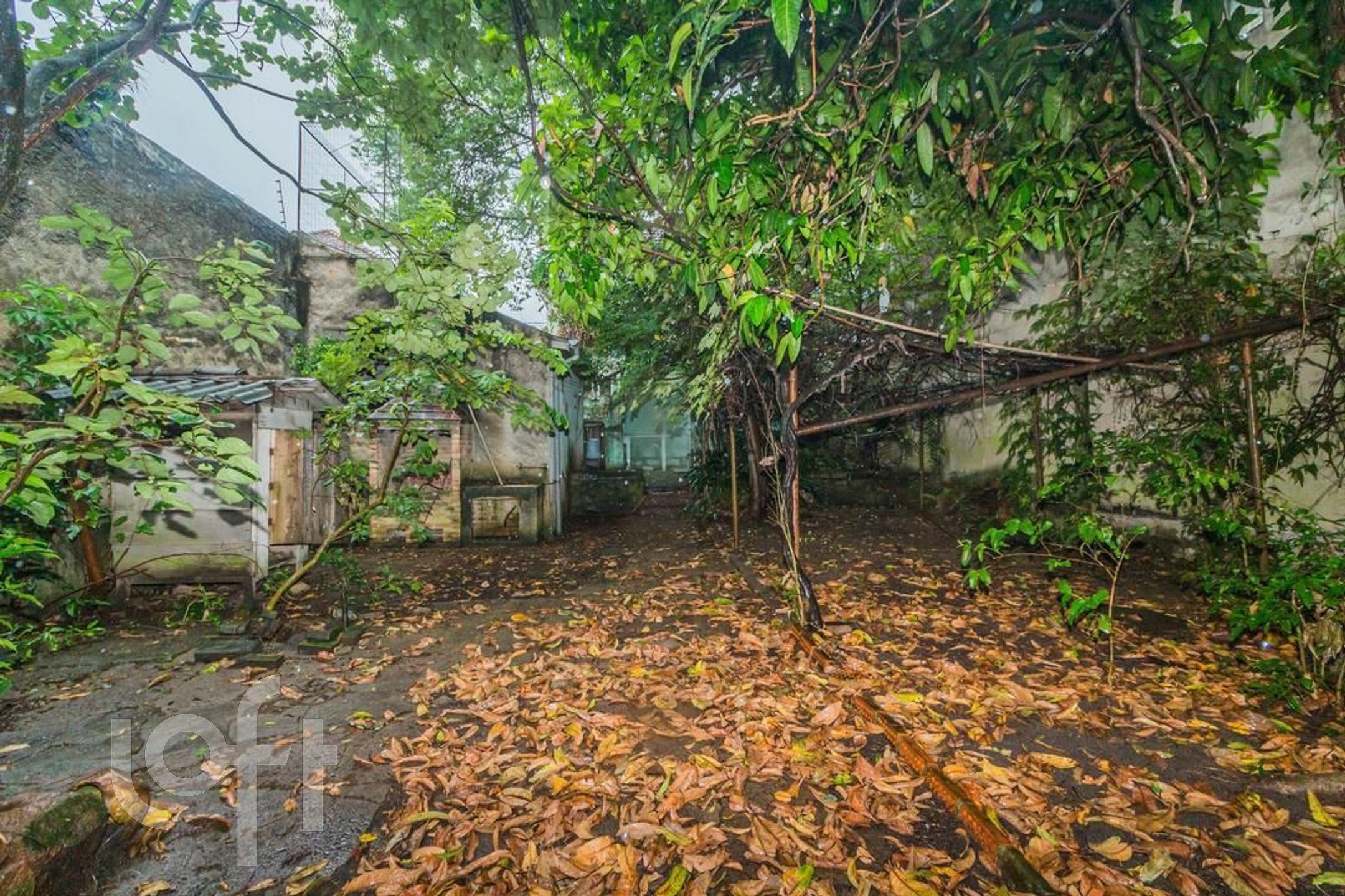 Imagem da propriedade 26