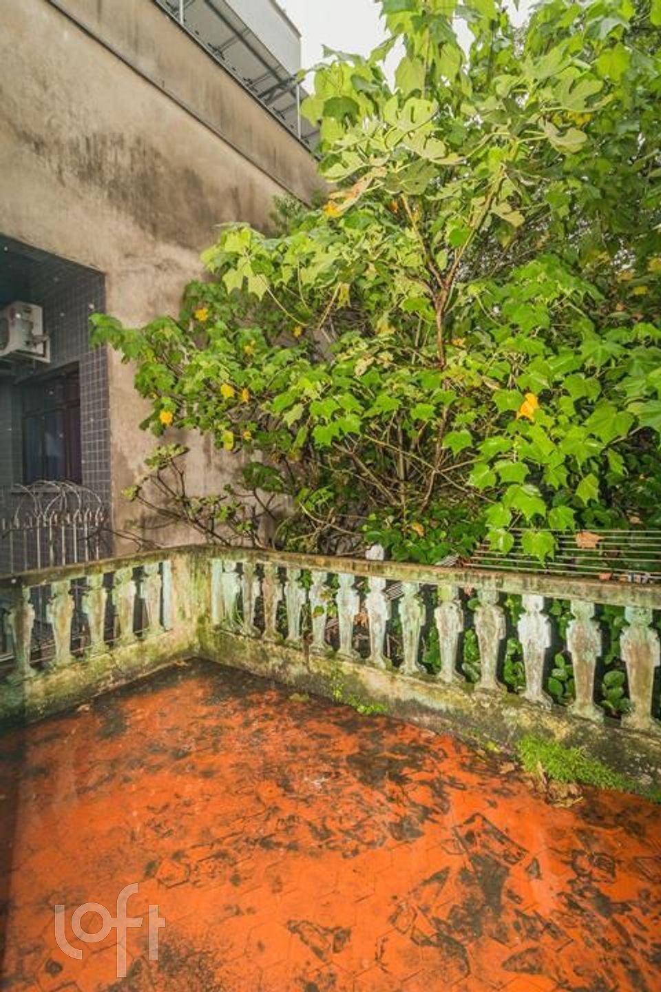 Imagem da propriedade 13