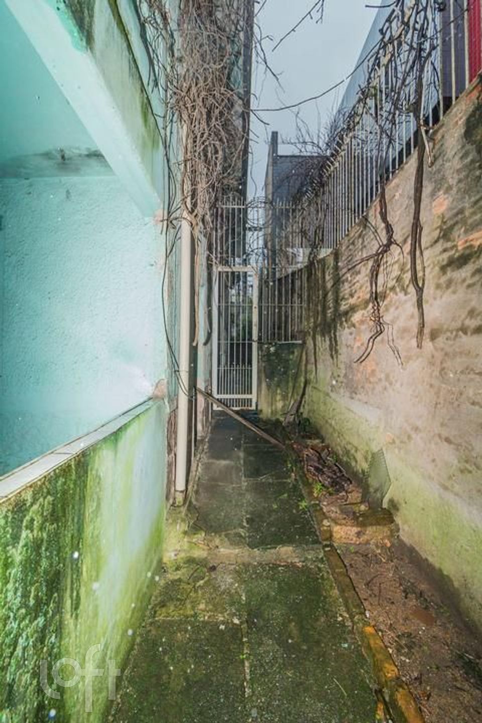 Imagem da propriedade 24