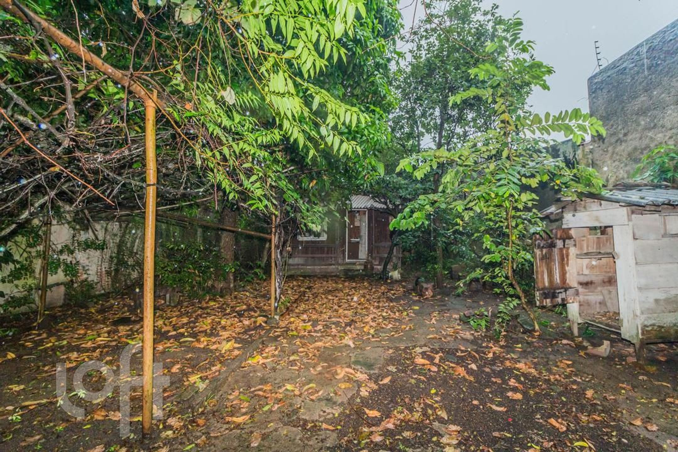 Imagem da propriedade 25