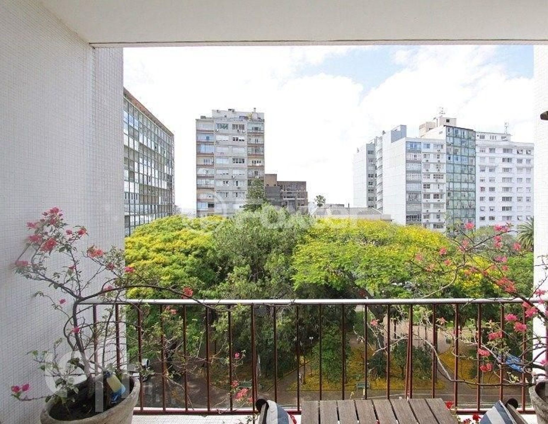 Imagem da propriedade 9