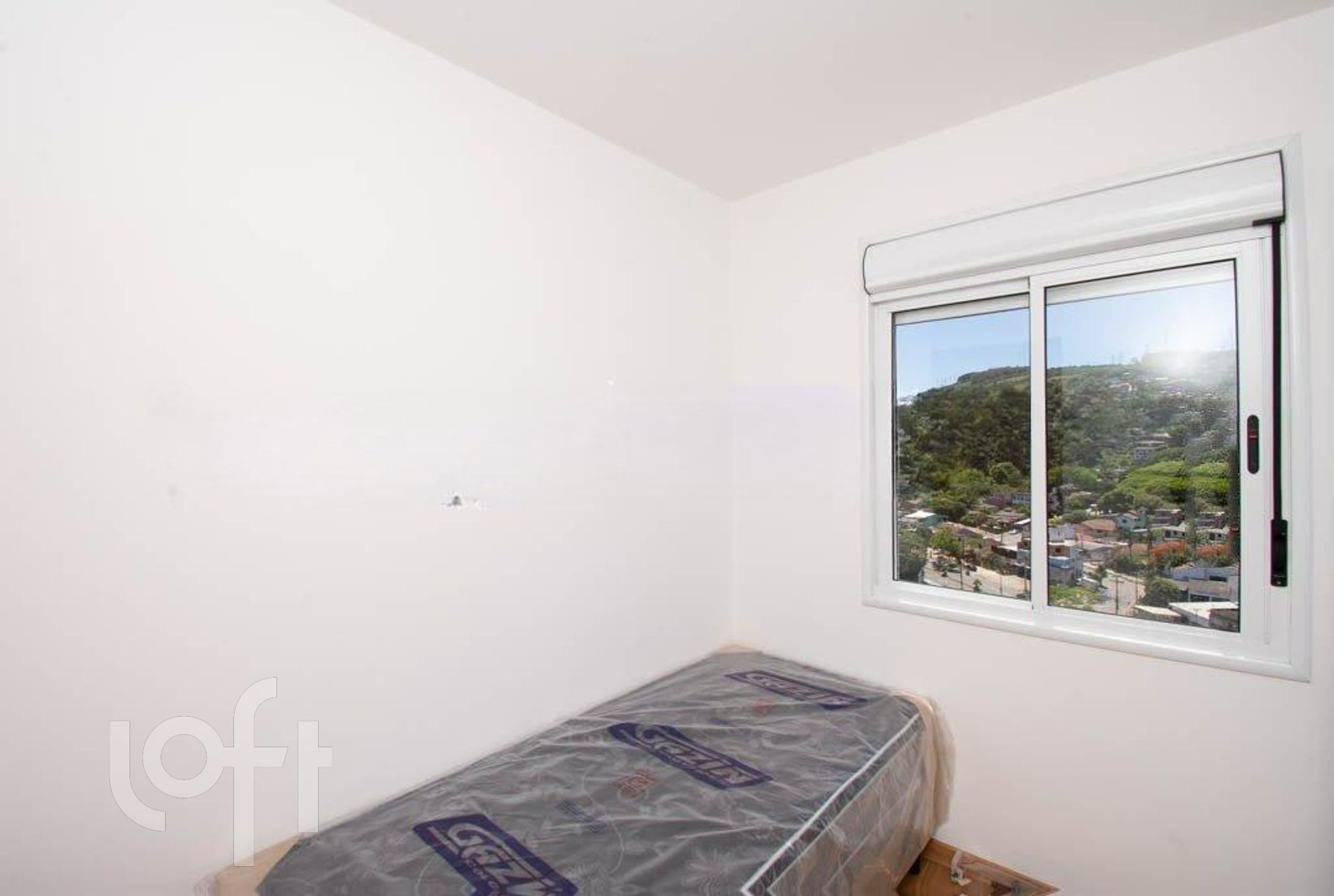 Imagem da propriedade 19