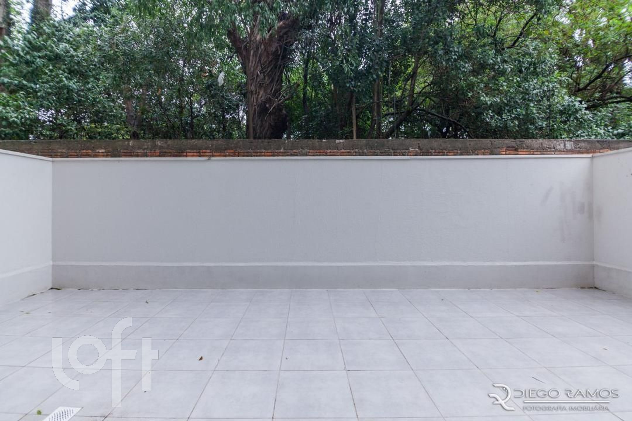 Imagem da propriedade 5