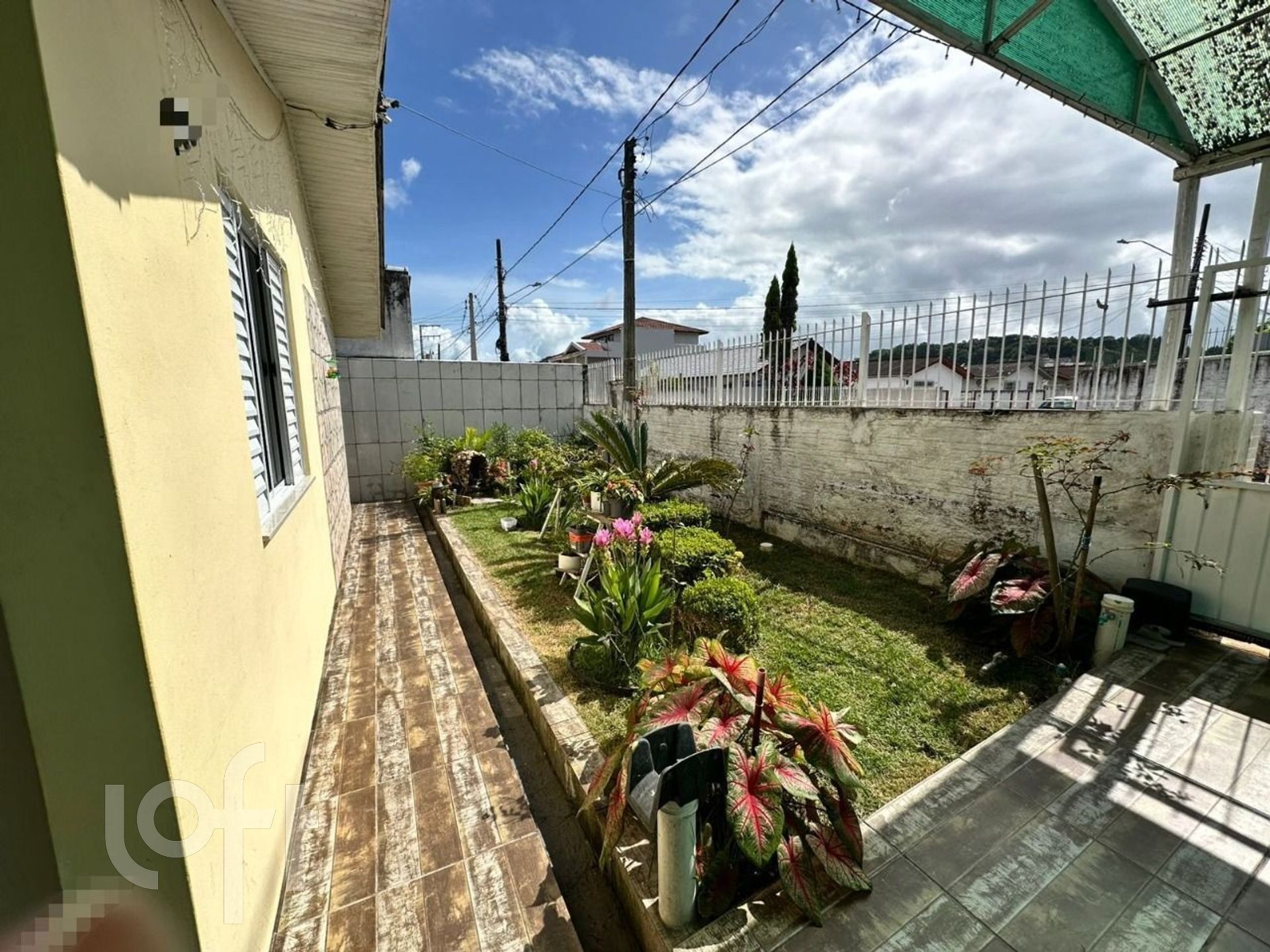Imagem da propriedade 3