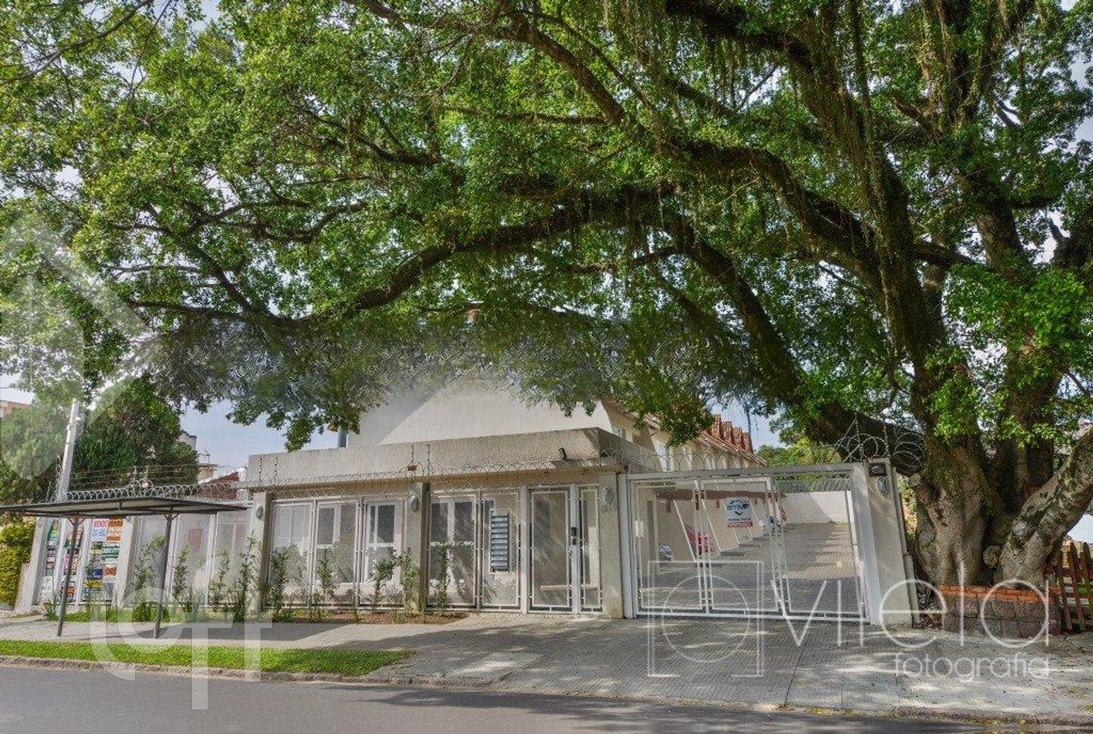 Imagem da propriedade 6