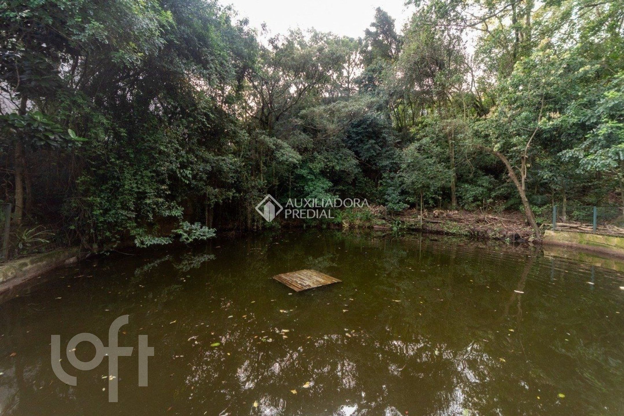 Imagem da propriedade 32