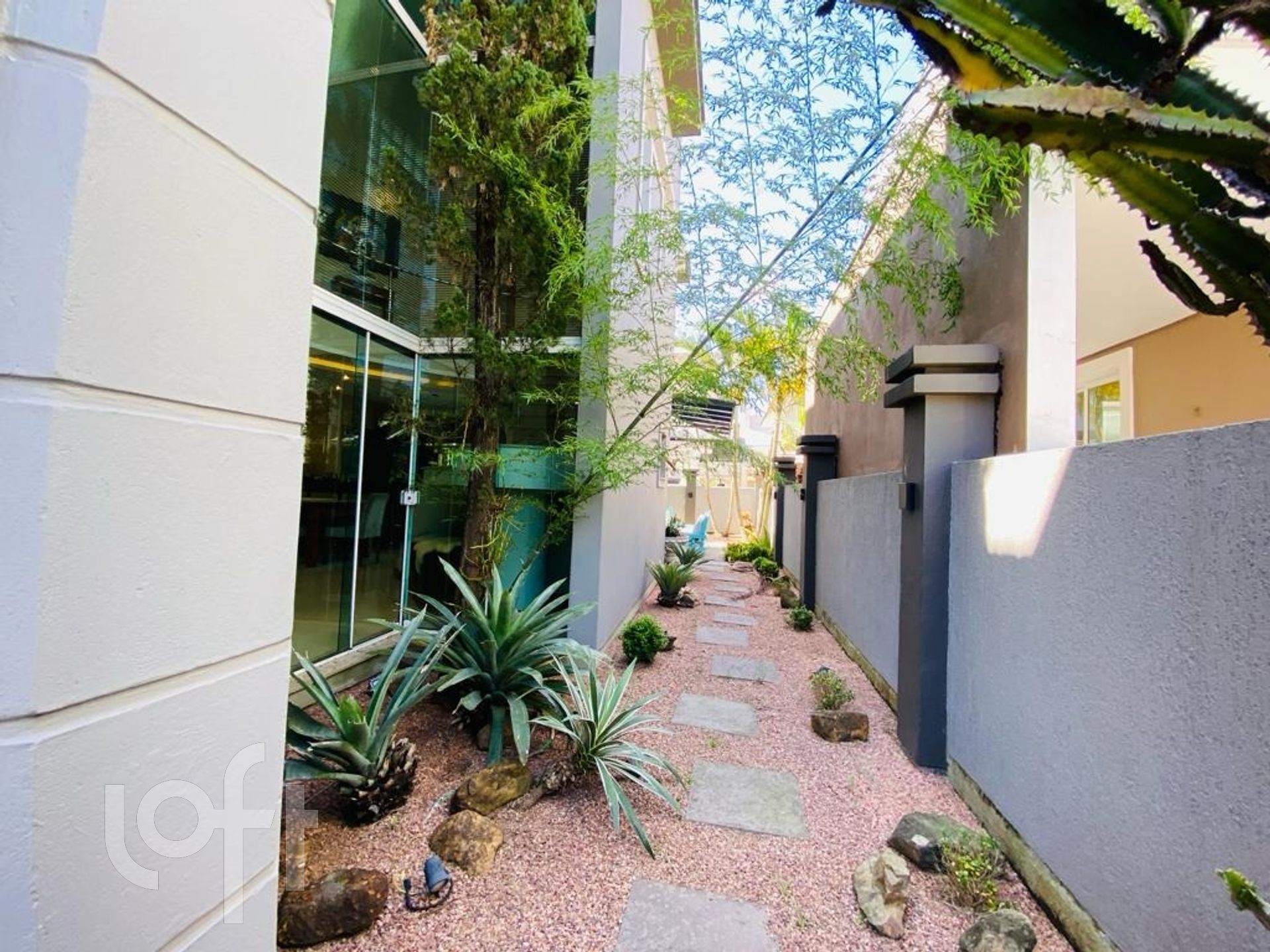 Imagem da propriedade 3