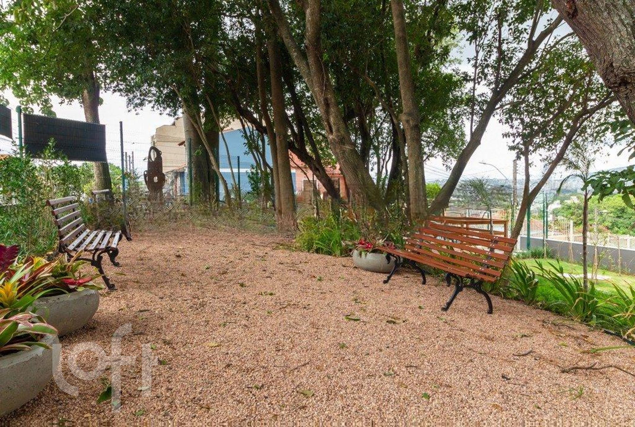 Imagem da propriedade 31