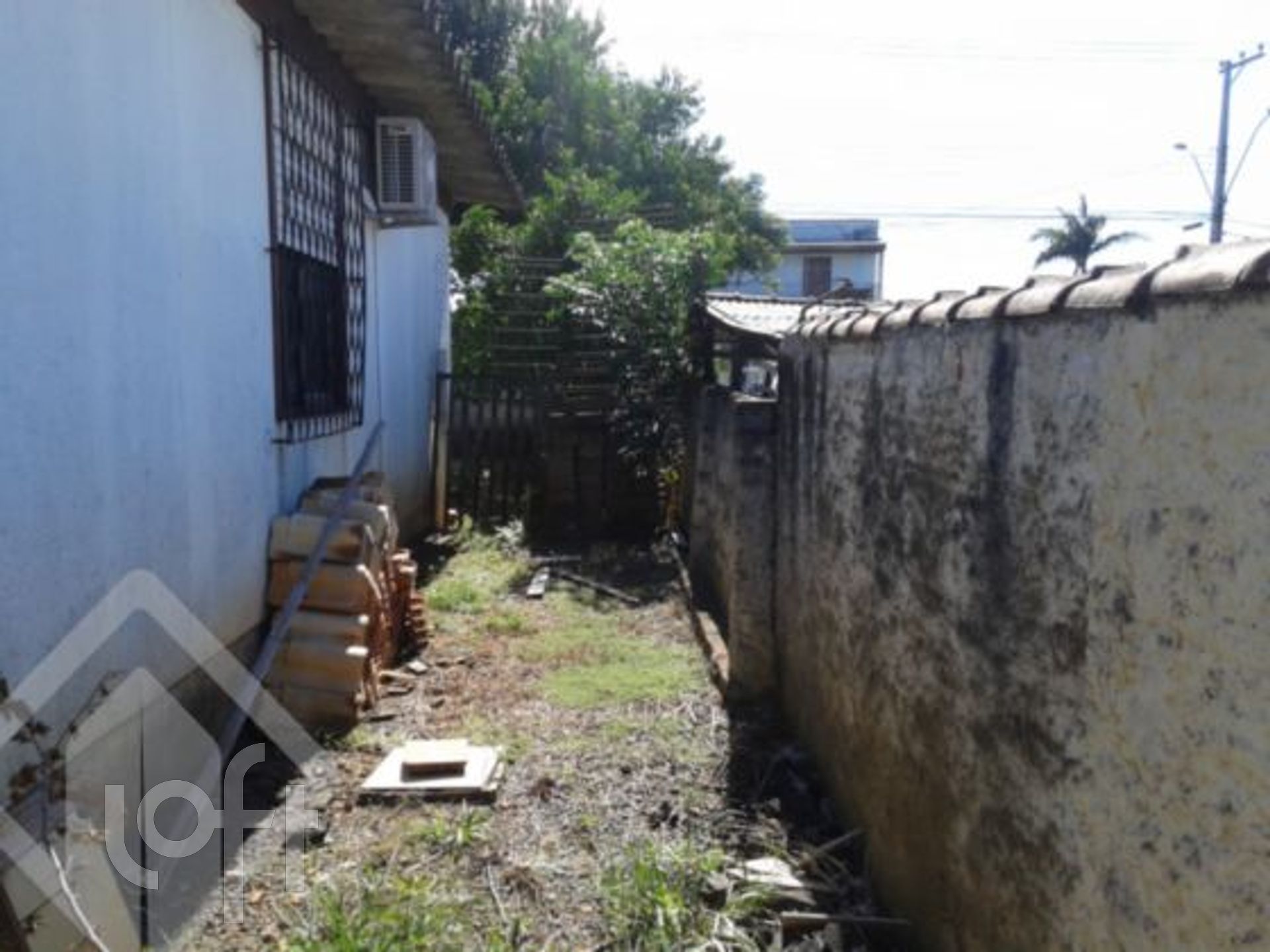 Imagem da propriedade 4