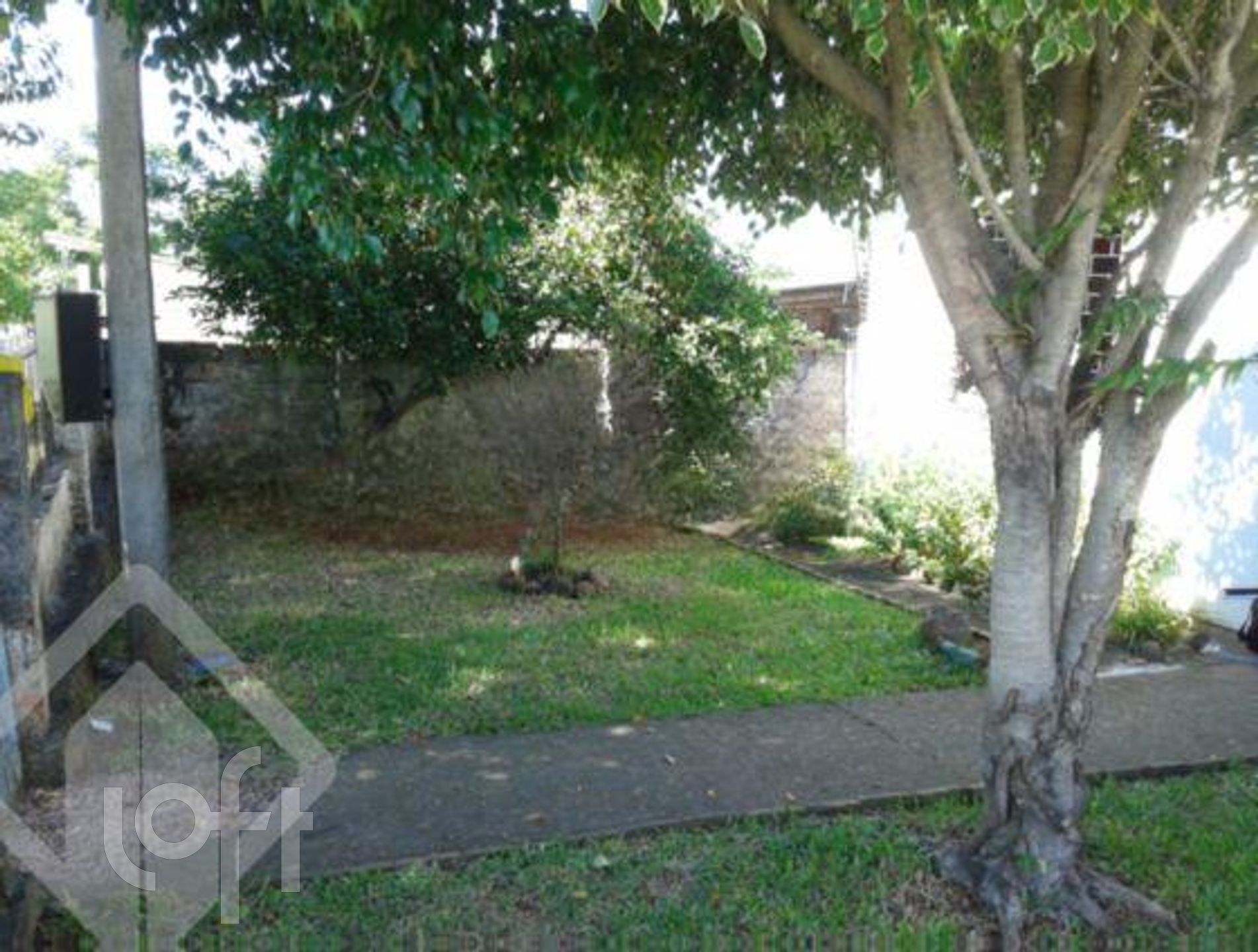 Imagem da propriedade 3