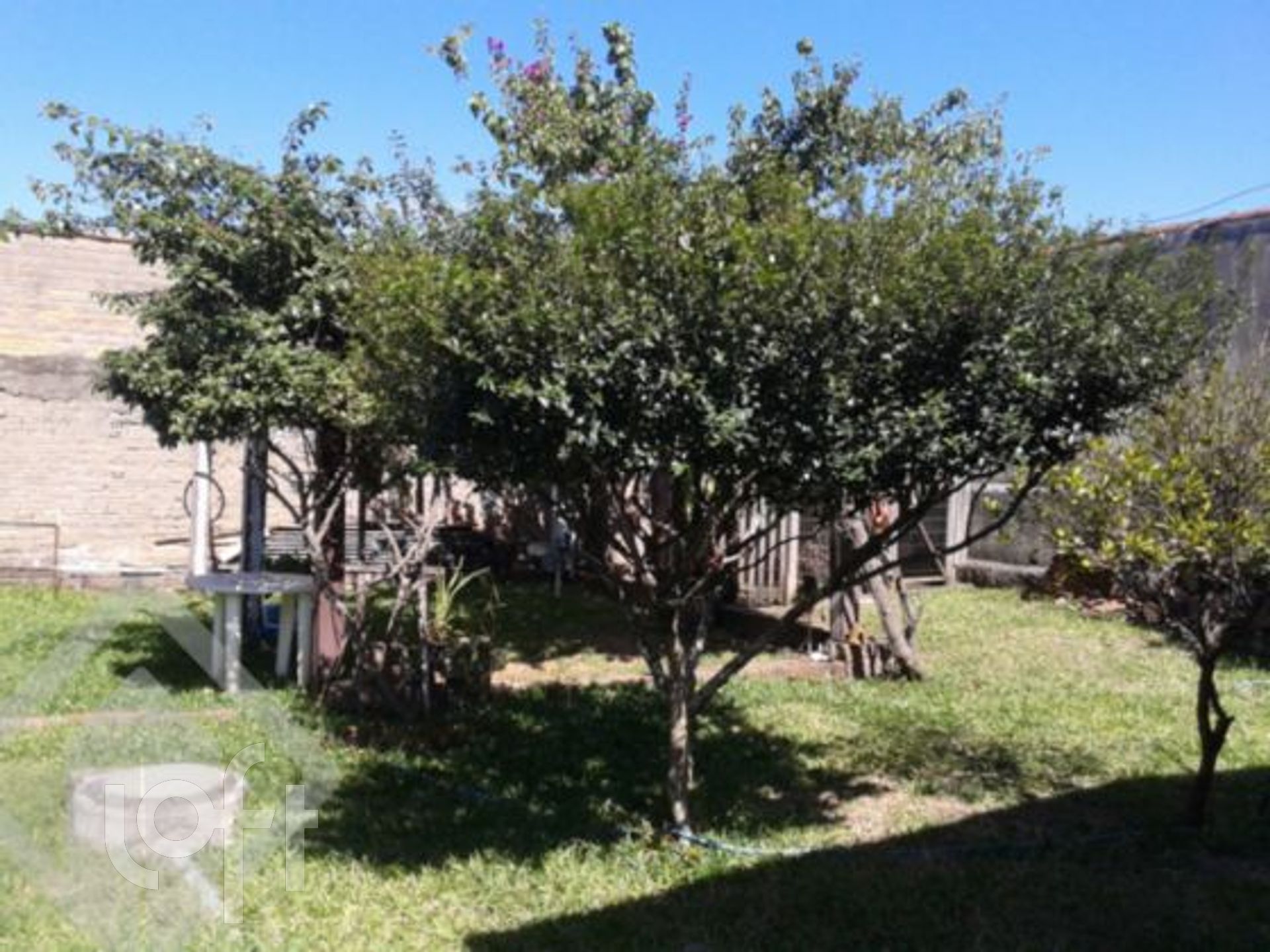 Imagem da propriedade 5