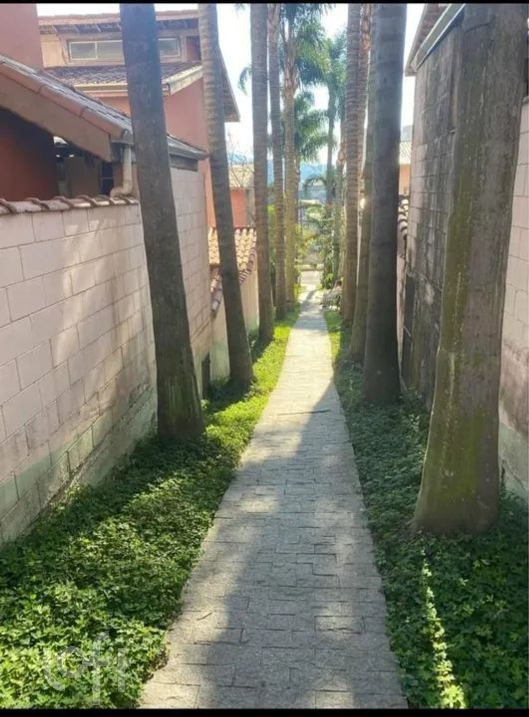 Imagem da propriedade 68711 8