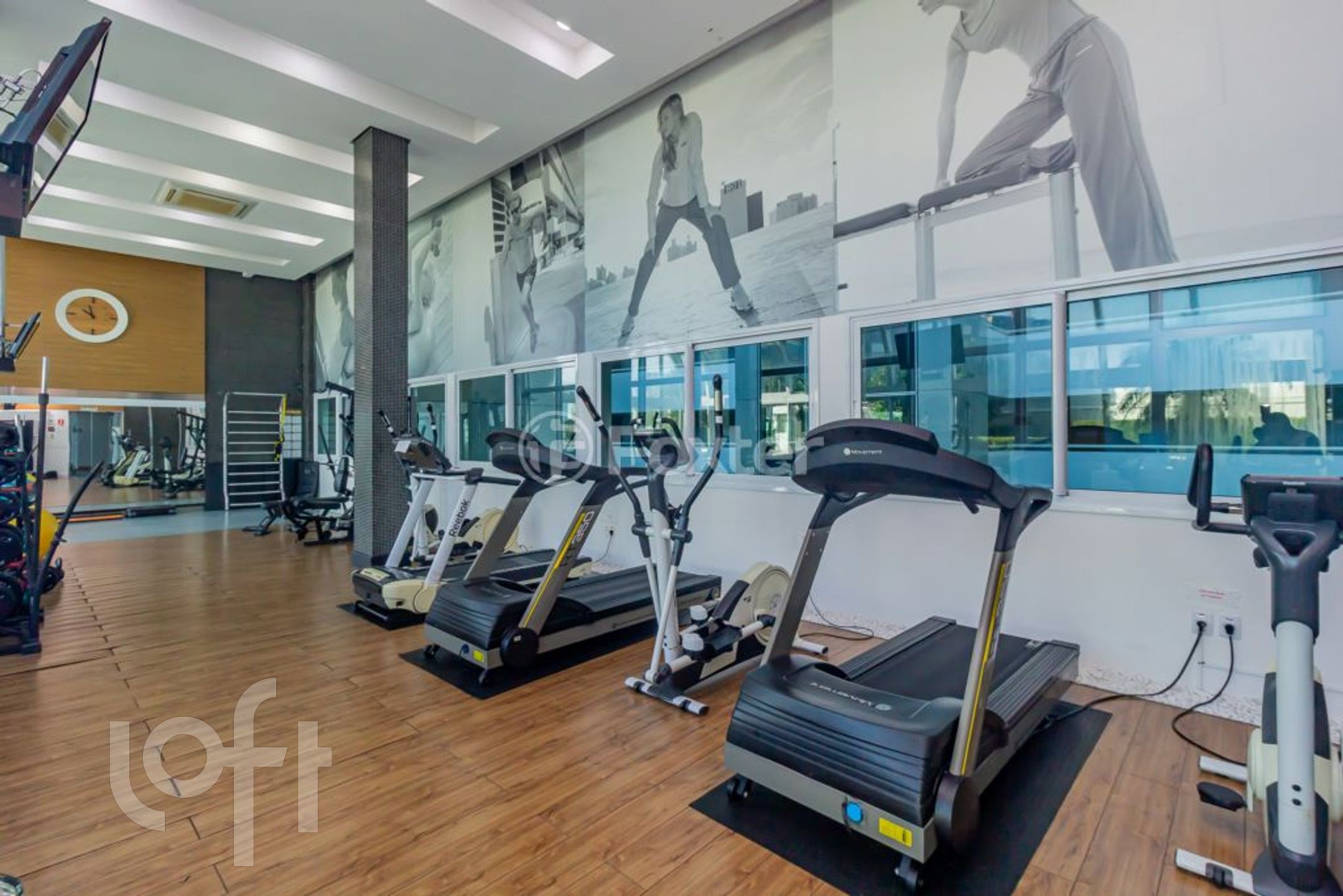 Imagem da propriedade 22