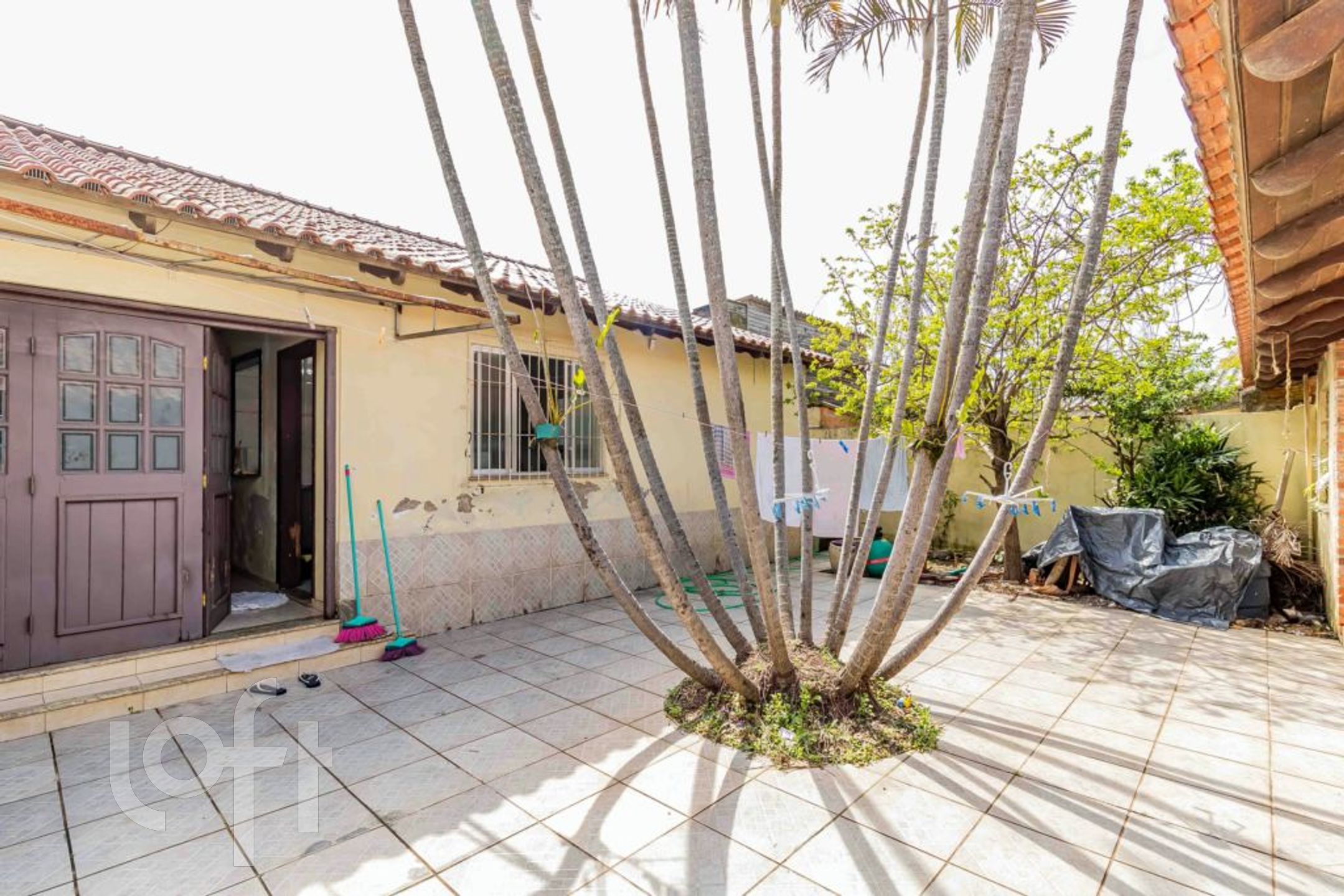 Imagem da propriedade 43