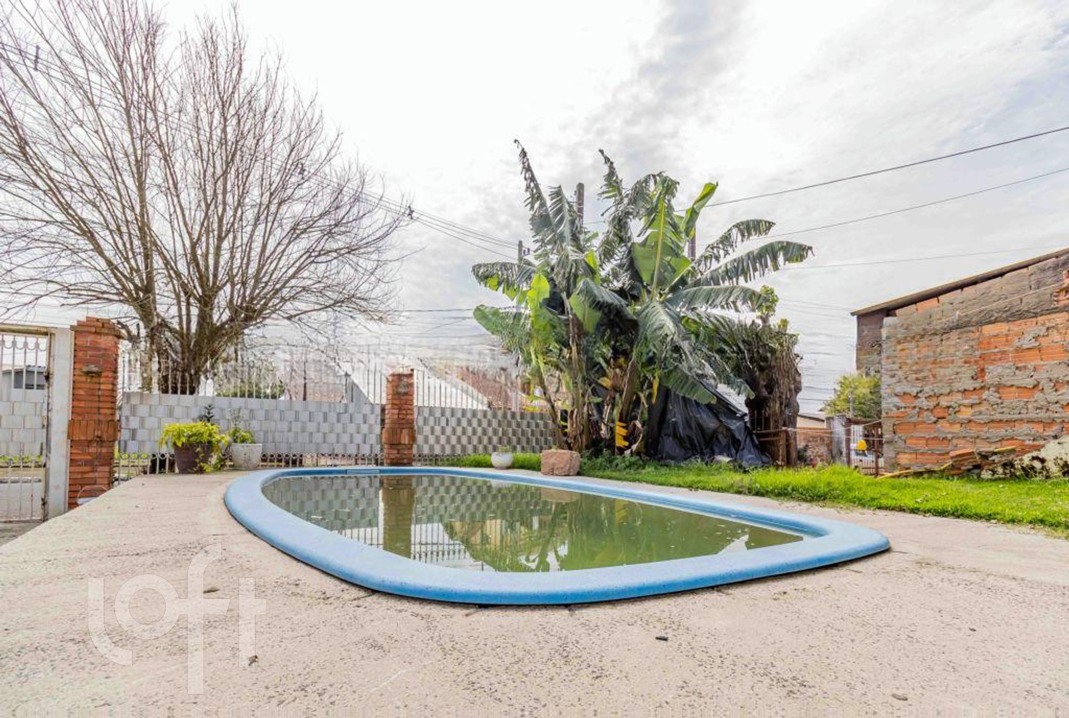 Imagem da propriedade 18