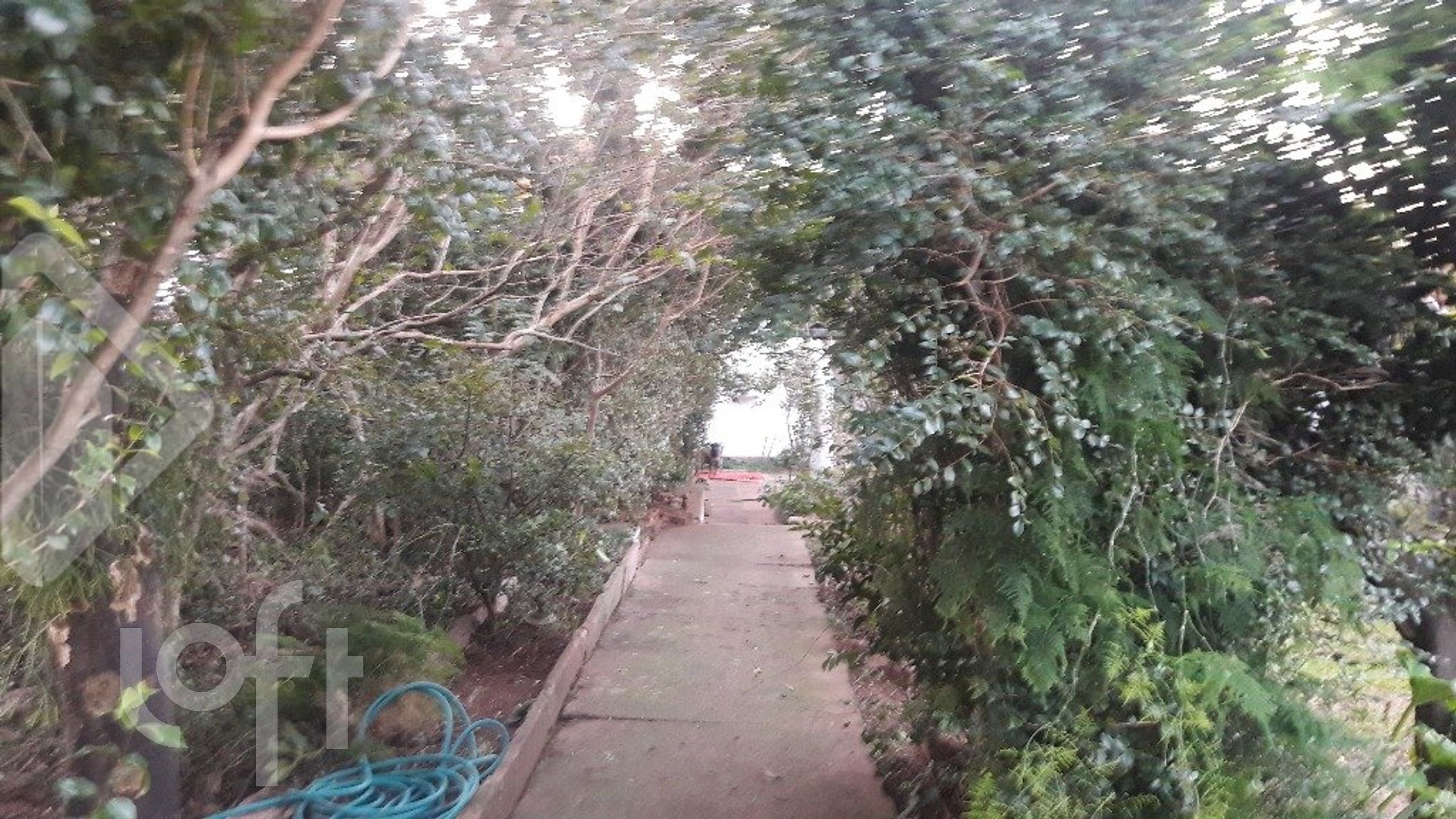 Imagem da propriedade 5