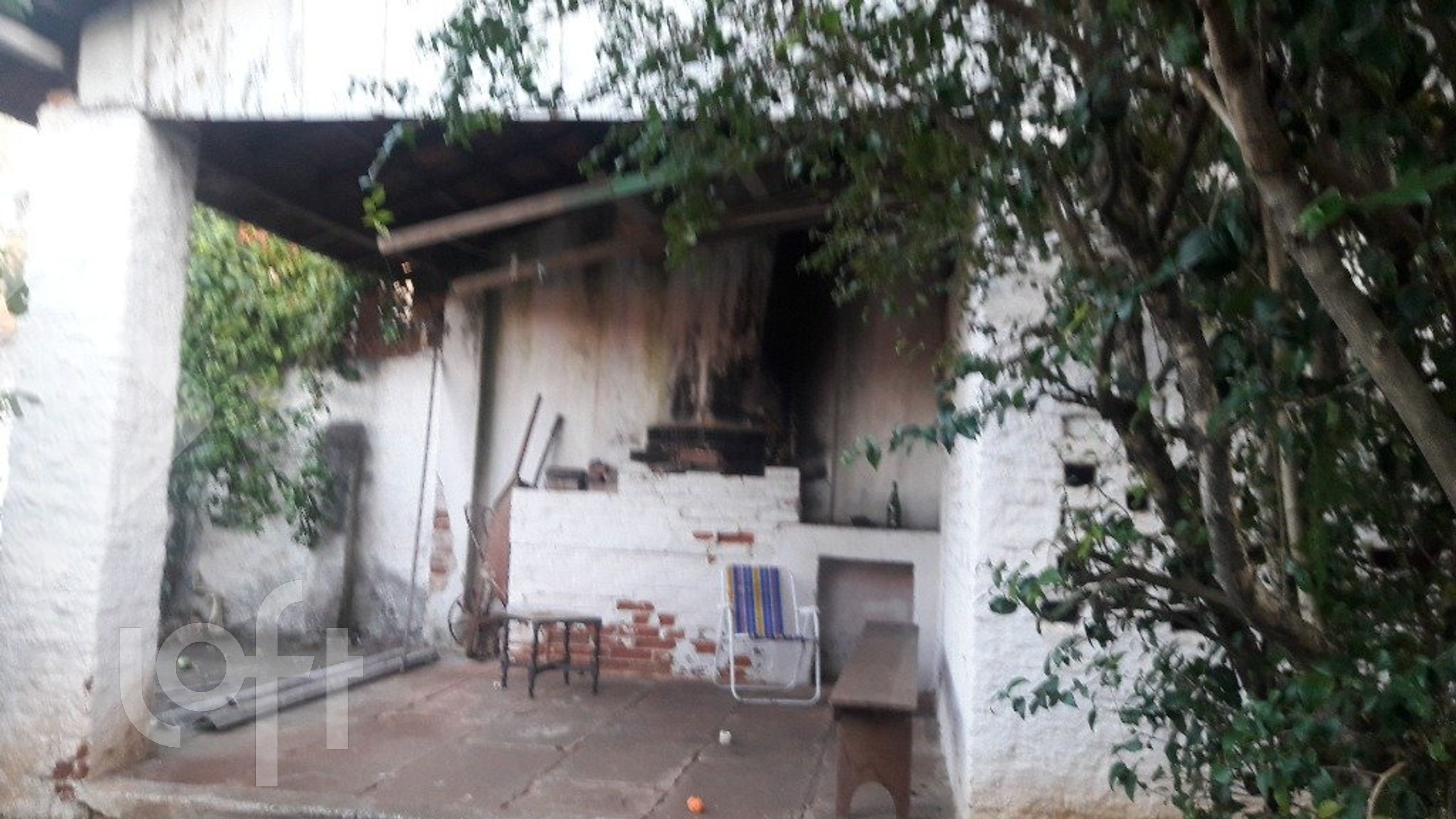 Imagem da propriedade 3