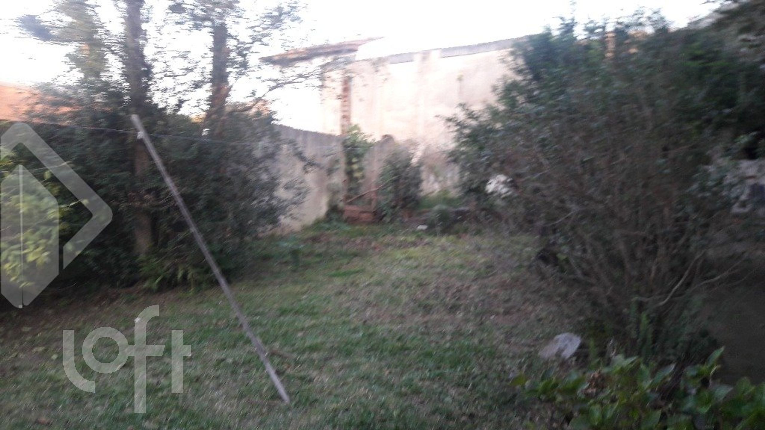 Imagem da propriedade 6