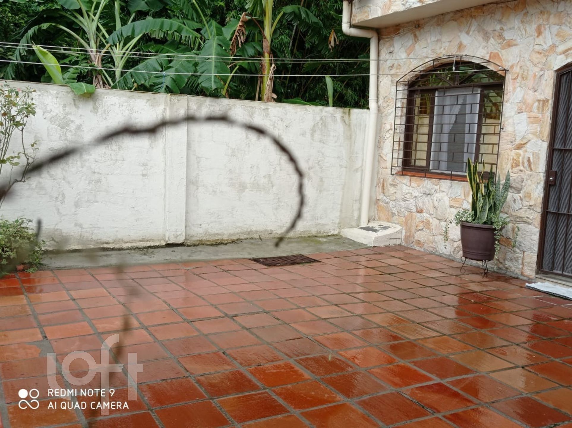 Imagem da propriedade 30