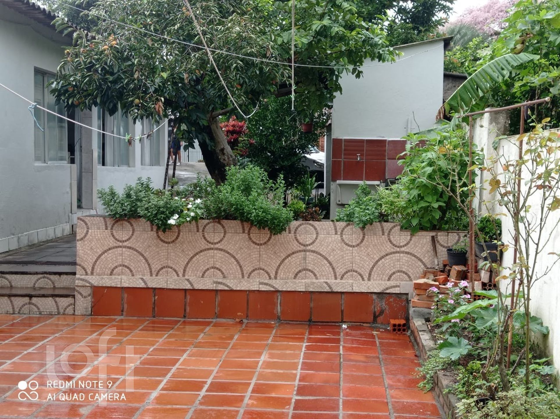 Imagem da propriedade 31