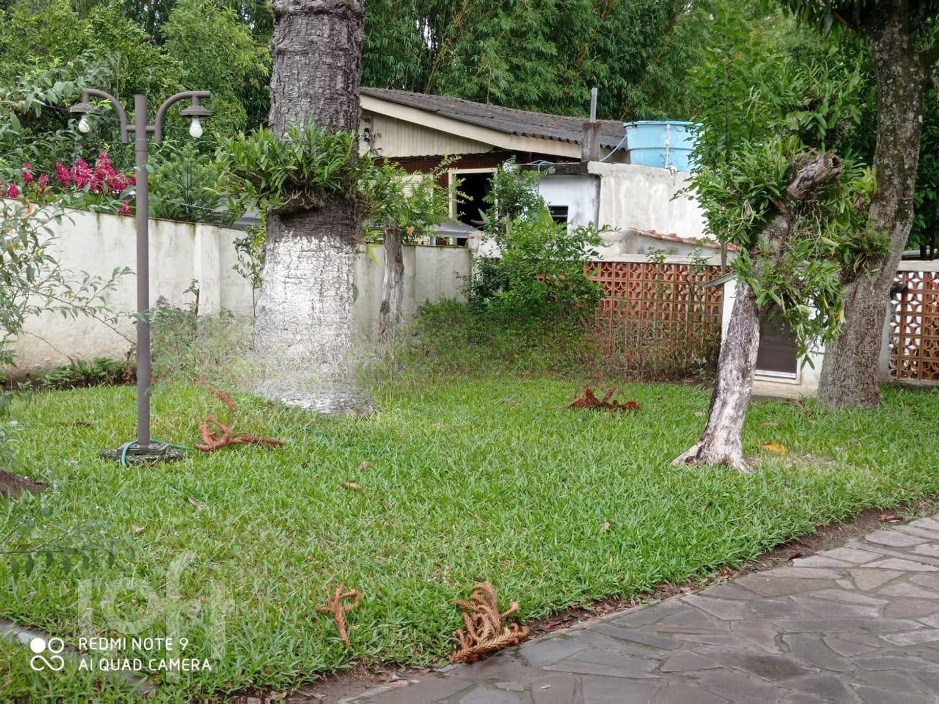 Imagem da propriedade 32