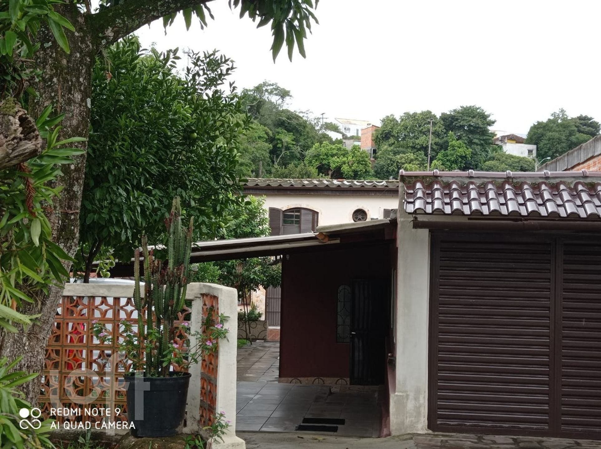 Imagem da propriedade 27