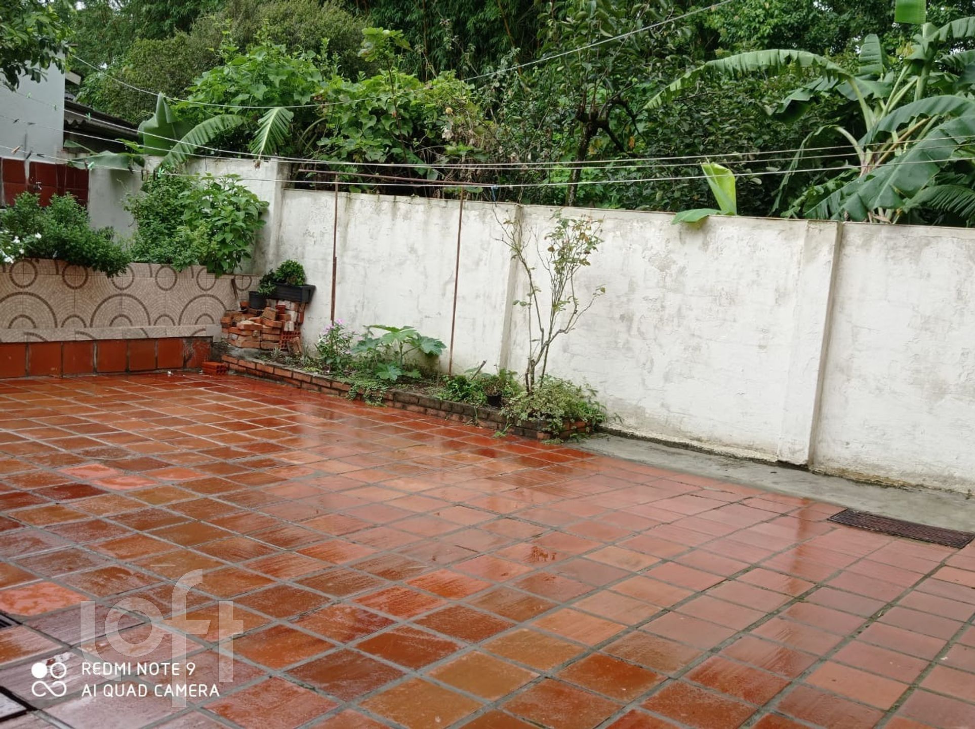 Imagem da propriedade 29