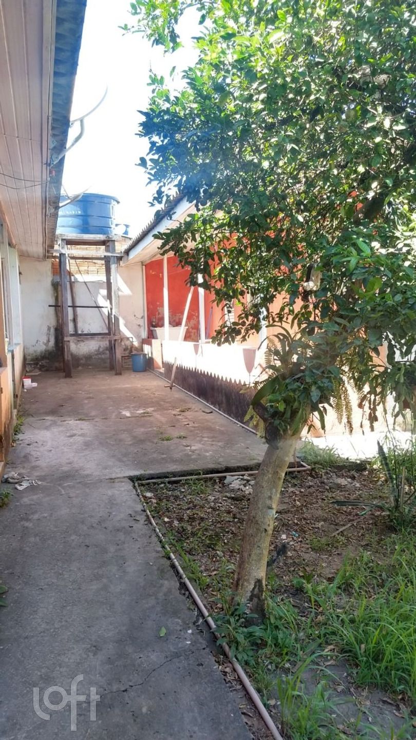 Imagem da propriedade 13